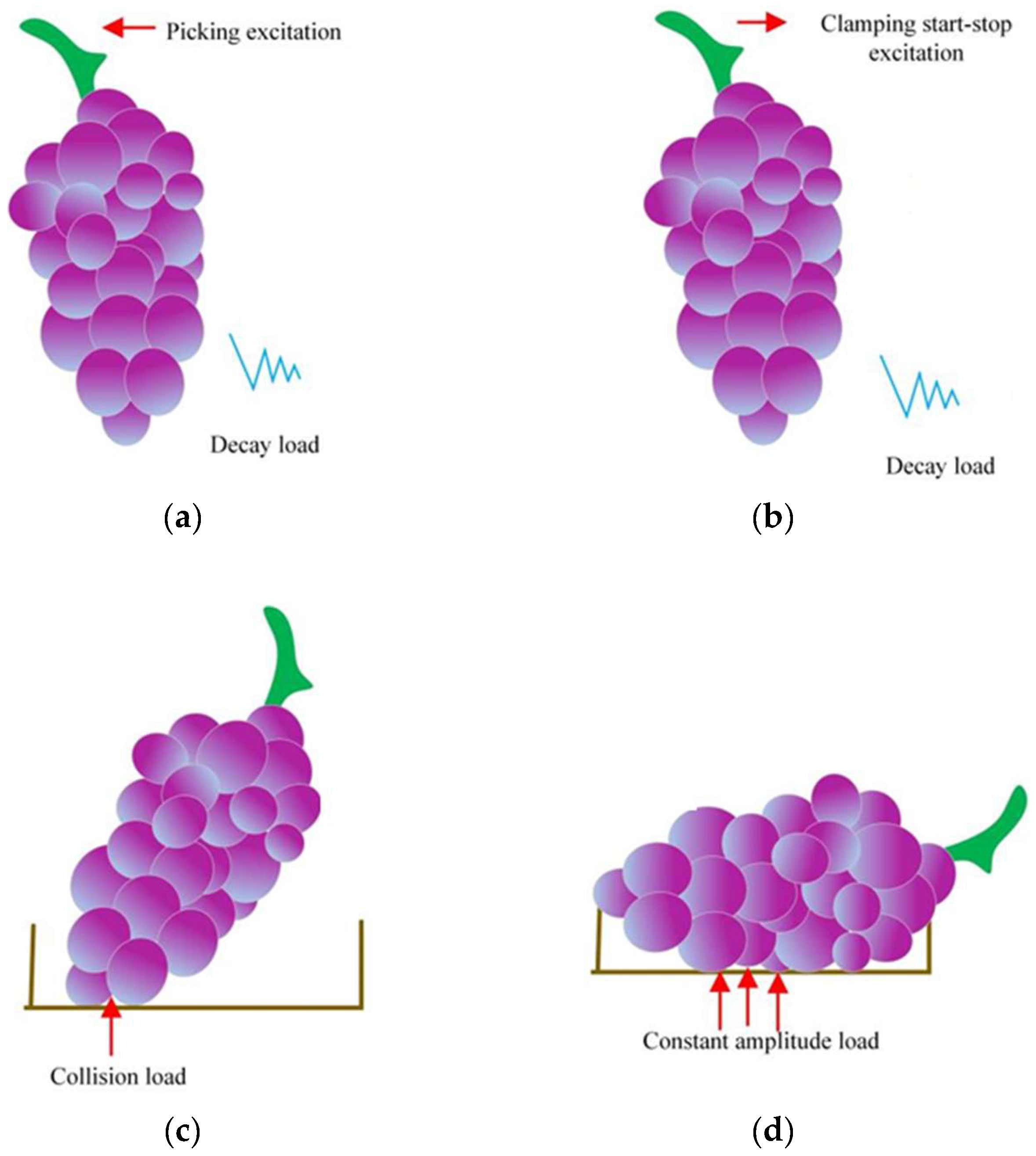 Agriculture 15 00154 g001