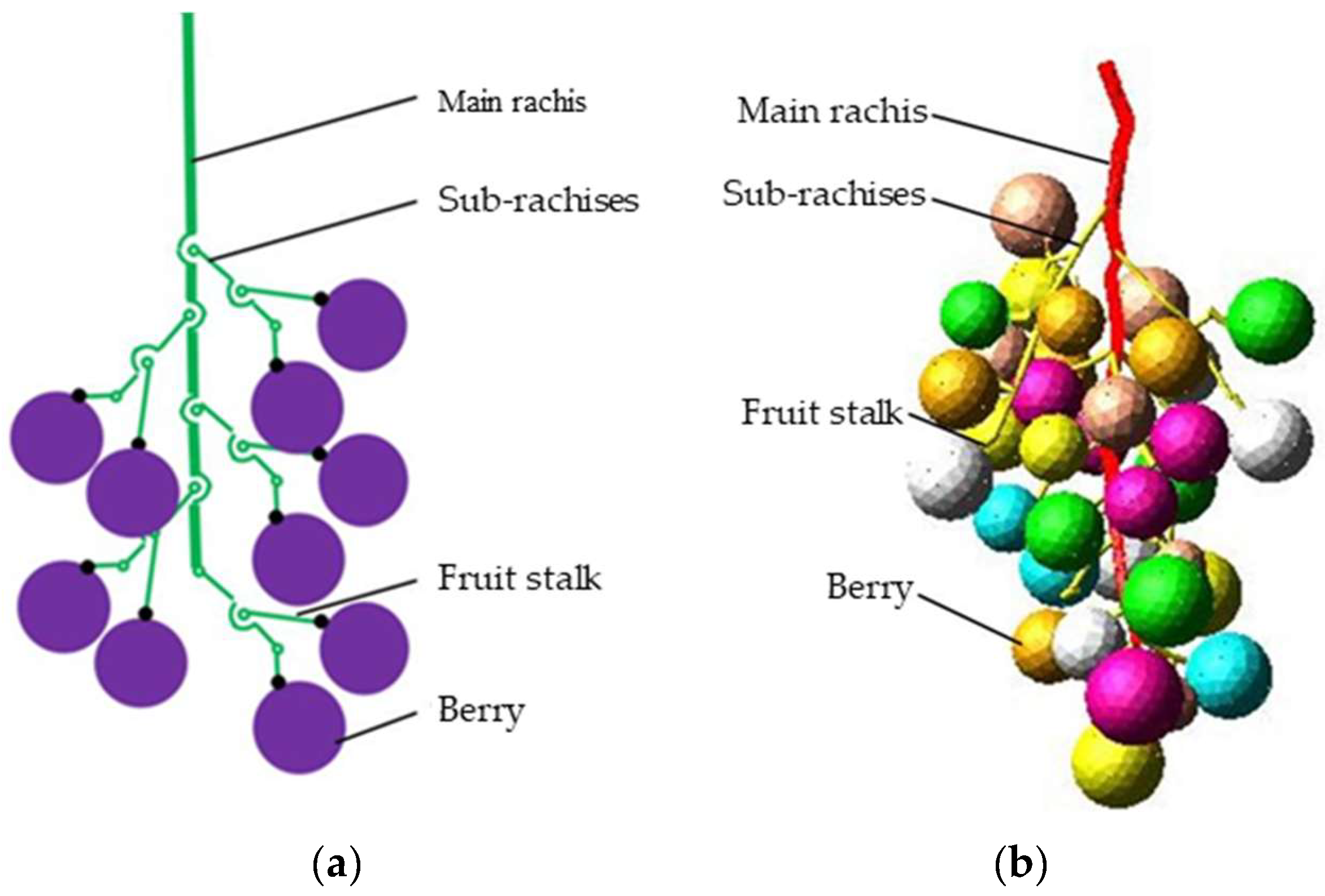 Agriculture 15 00154 g003