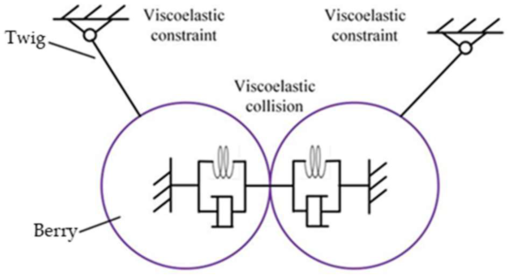 Agriculture 15 00154 g004