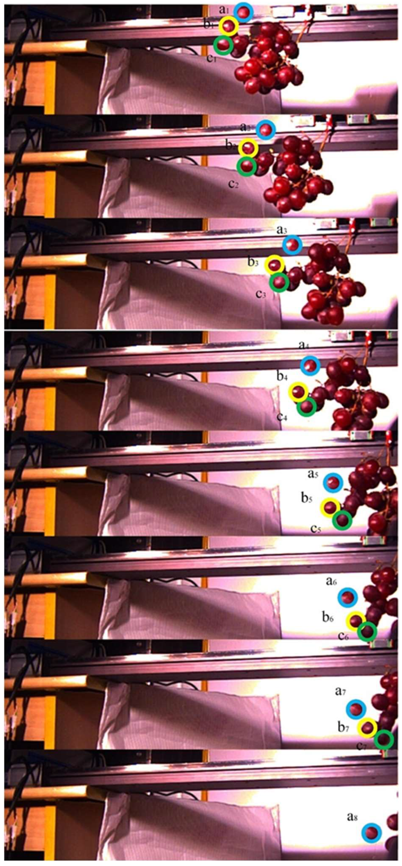 Agriculture 15 00154 g010