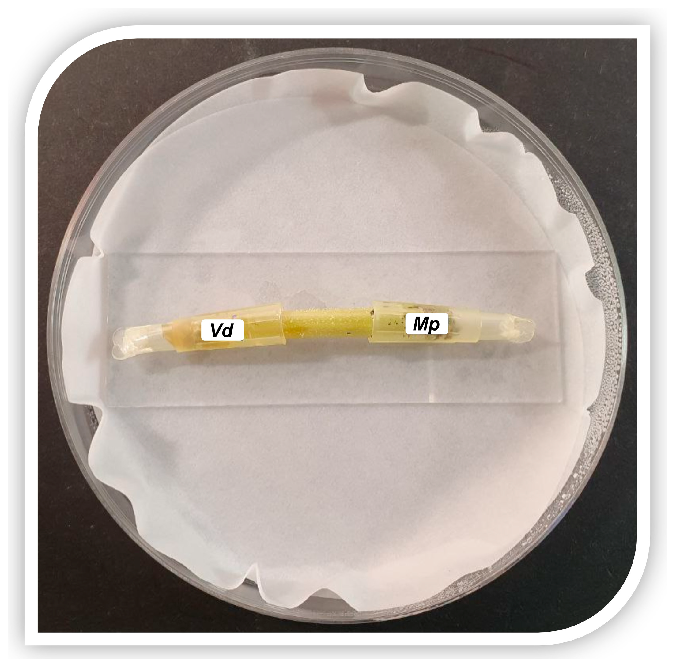 Agriculture 15 00160 g001 Agriculture 15 00160 g001