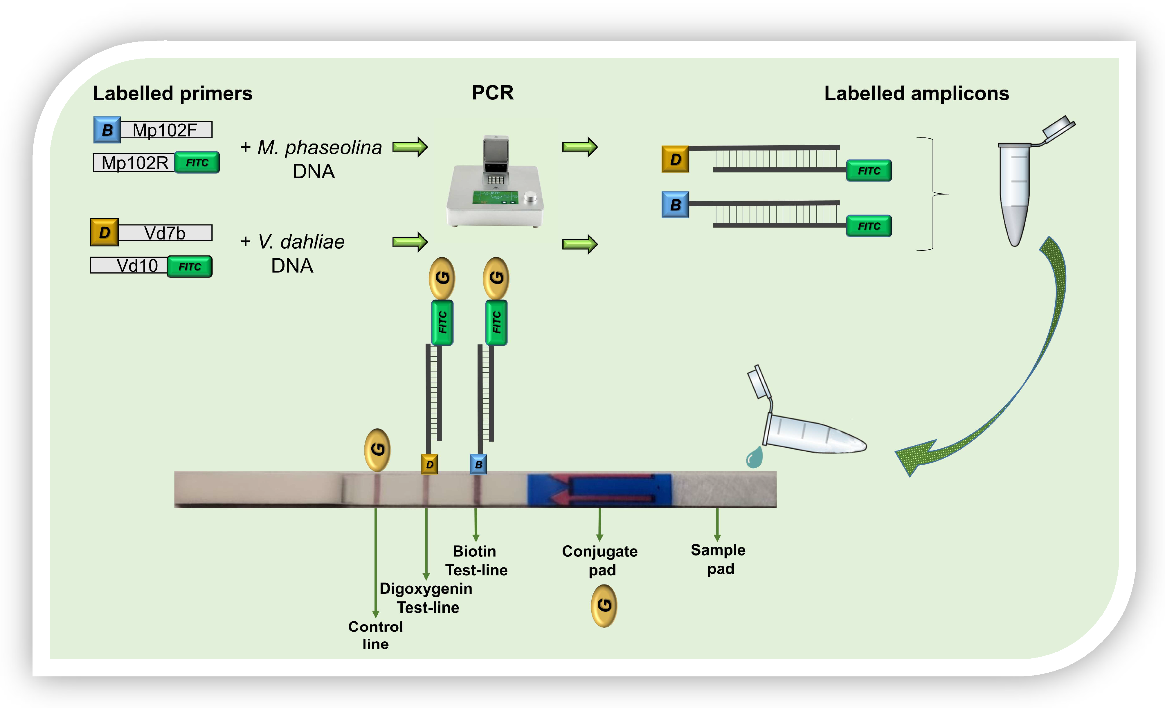 Agriculture 15 00160 g003 Agriculture 15 00160 g003