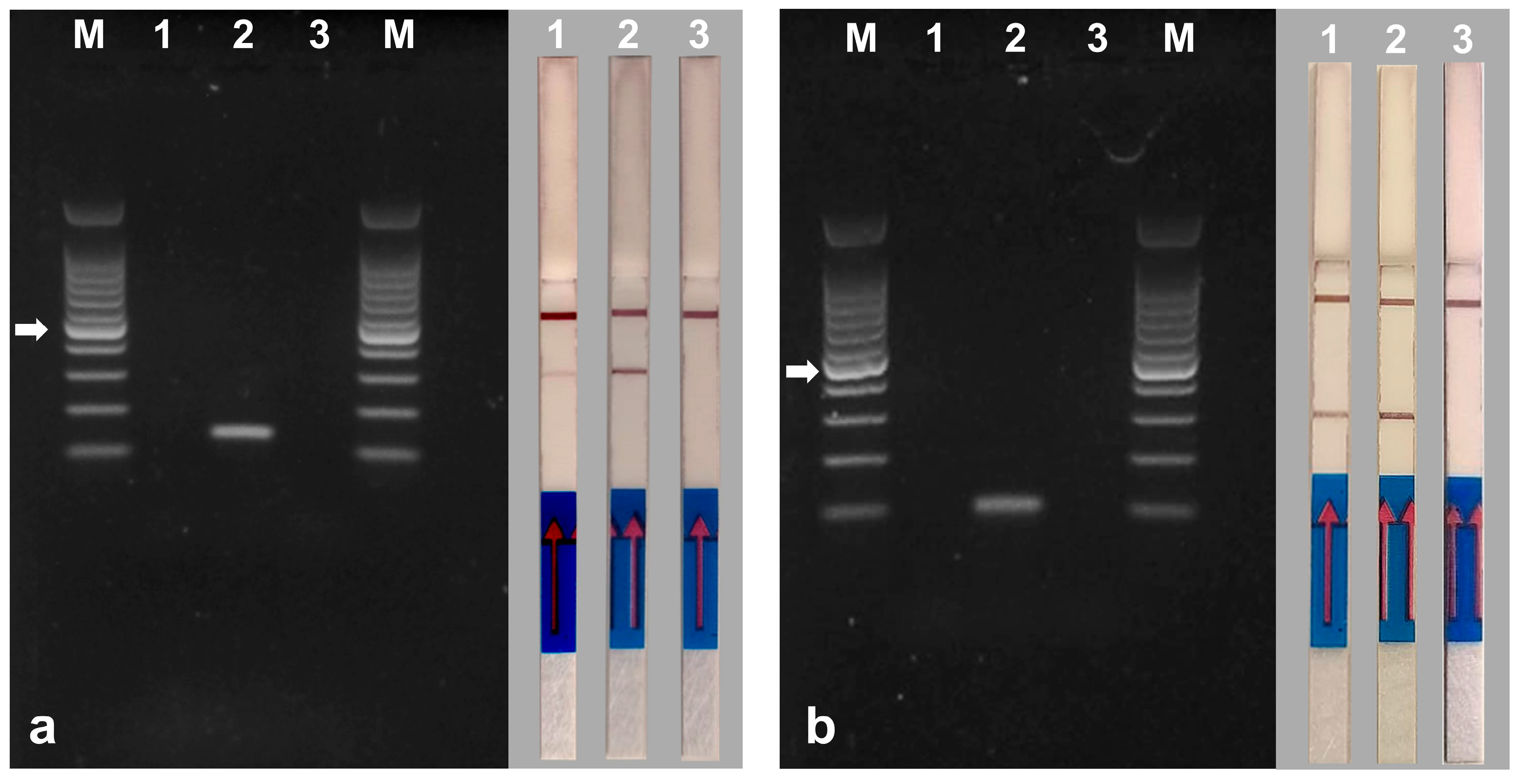 Agriculture 15 00160 g009 Agriculture 15 00160 g009