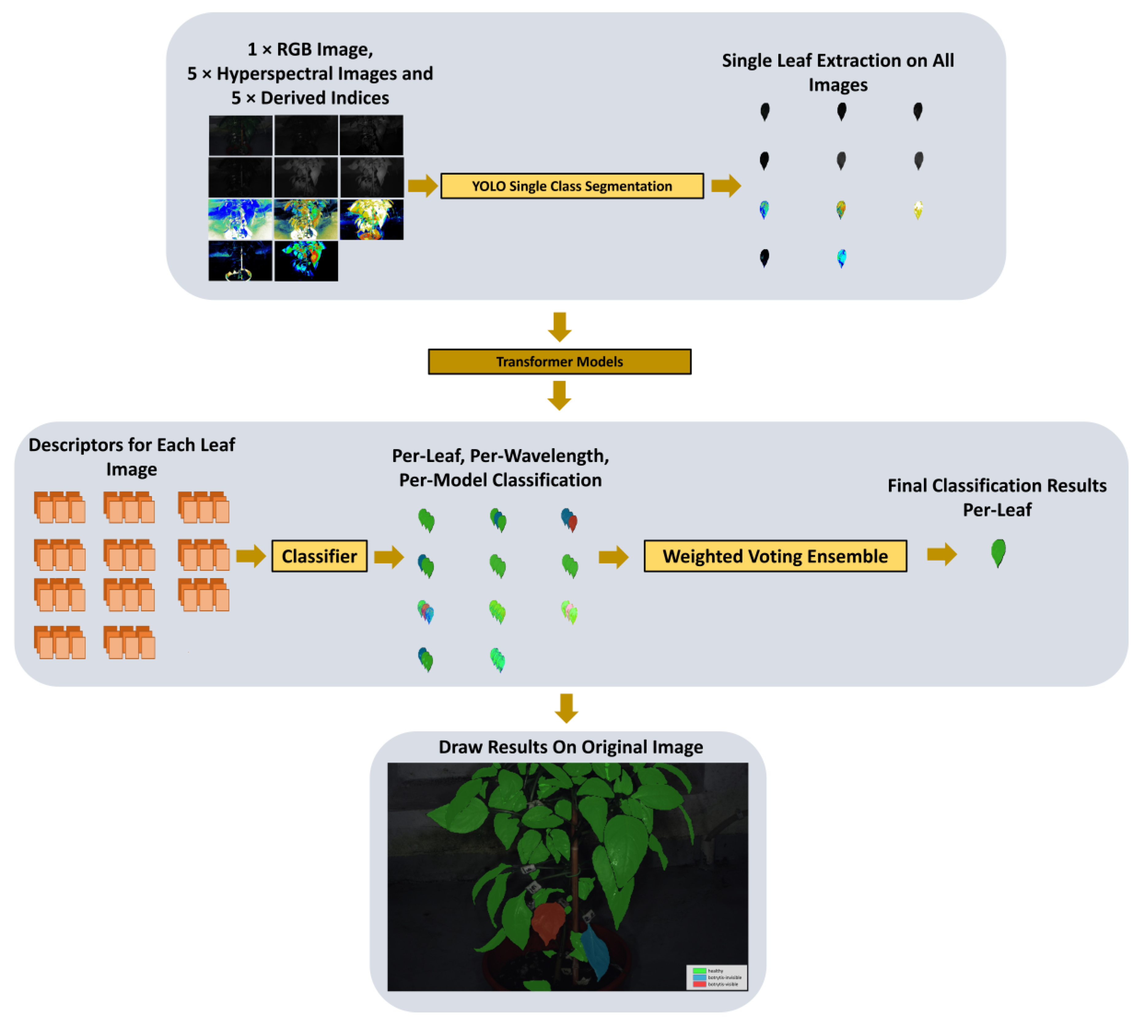 Agriculture 15 00164 g001