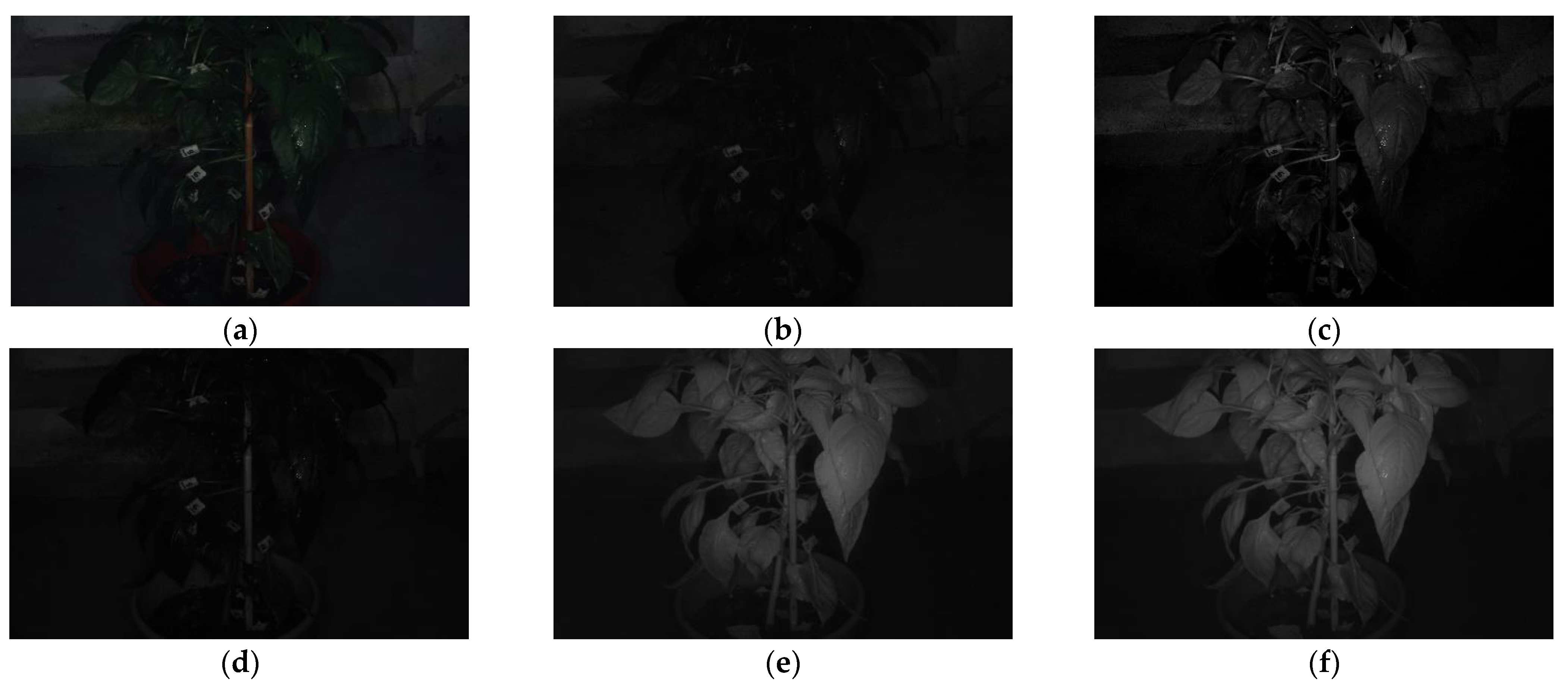 Agriculture 15 00164 g002a