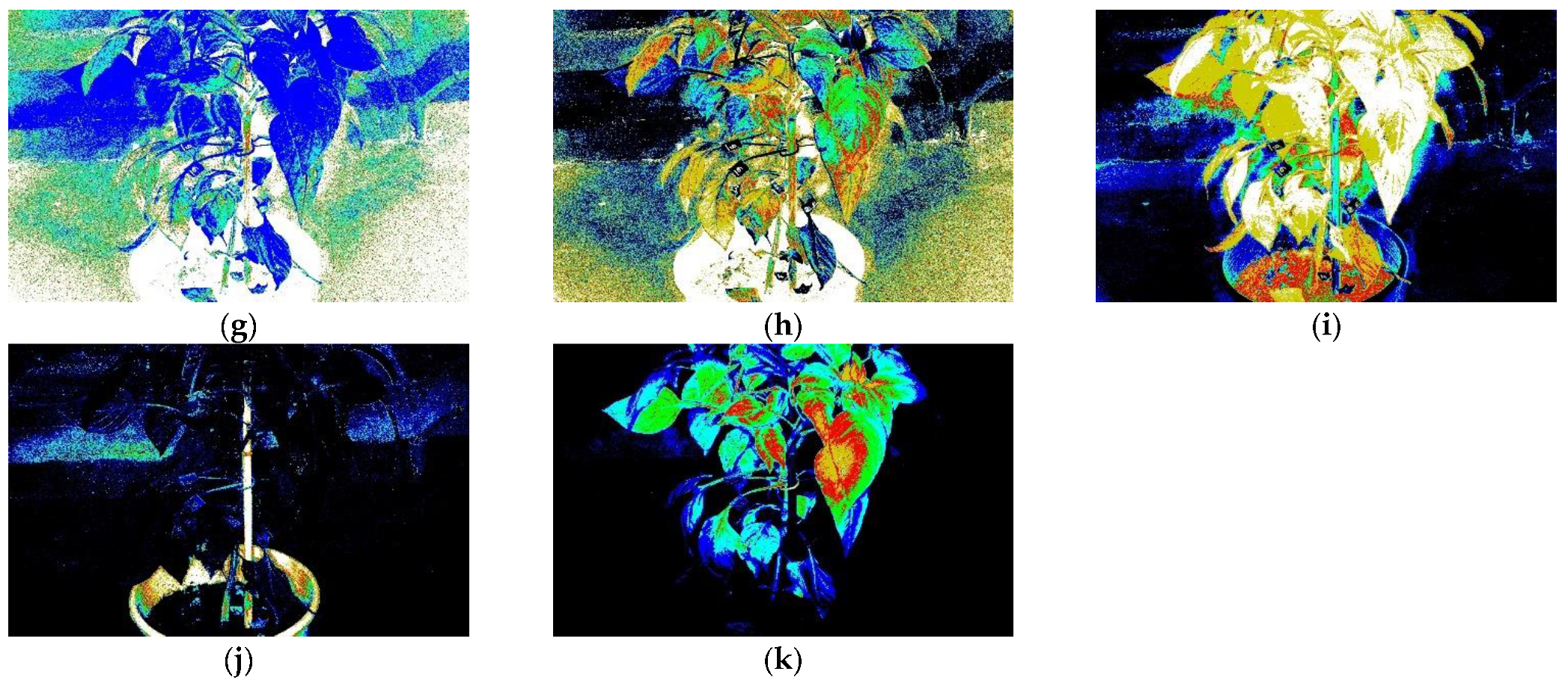 Agriculture 15 00164 g002b