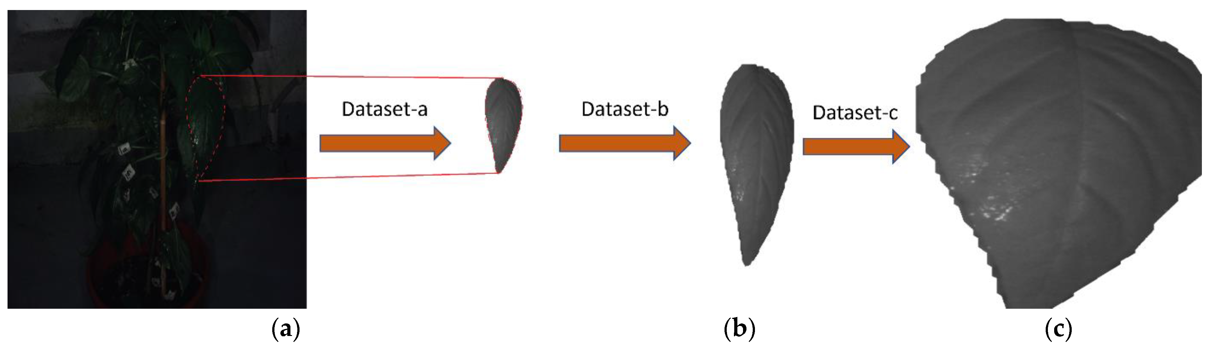 Agriculture 15 00164 g004