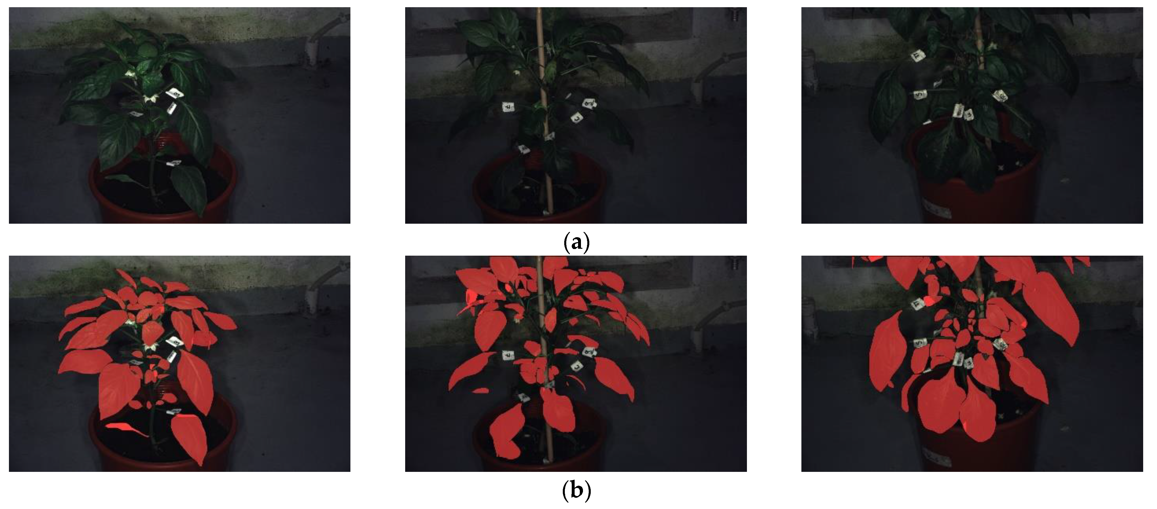 Agriculture 15 00164 g010