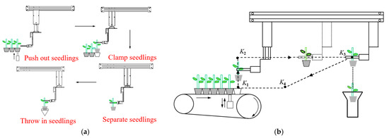 Design and Testing of a Whole-Row Top-Loosening Stem