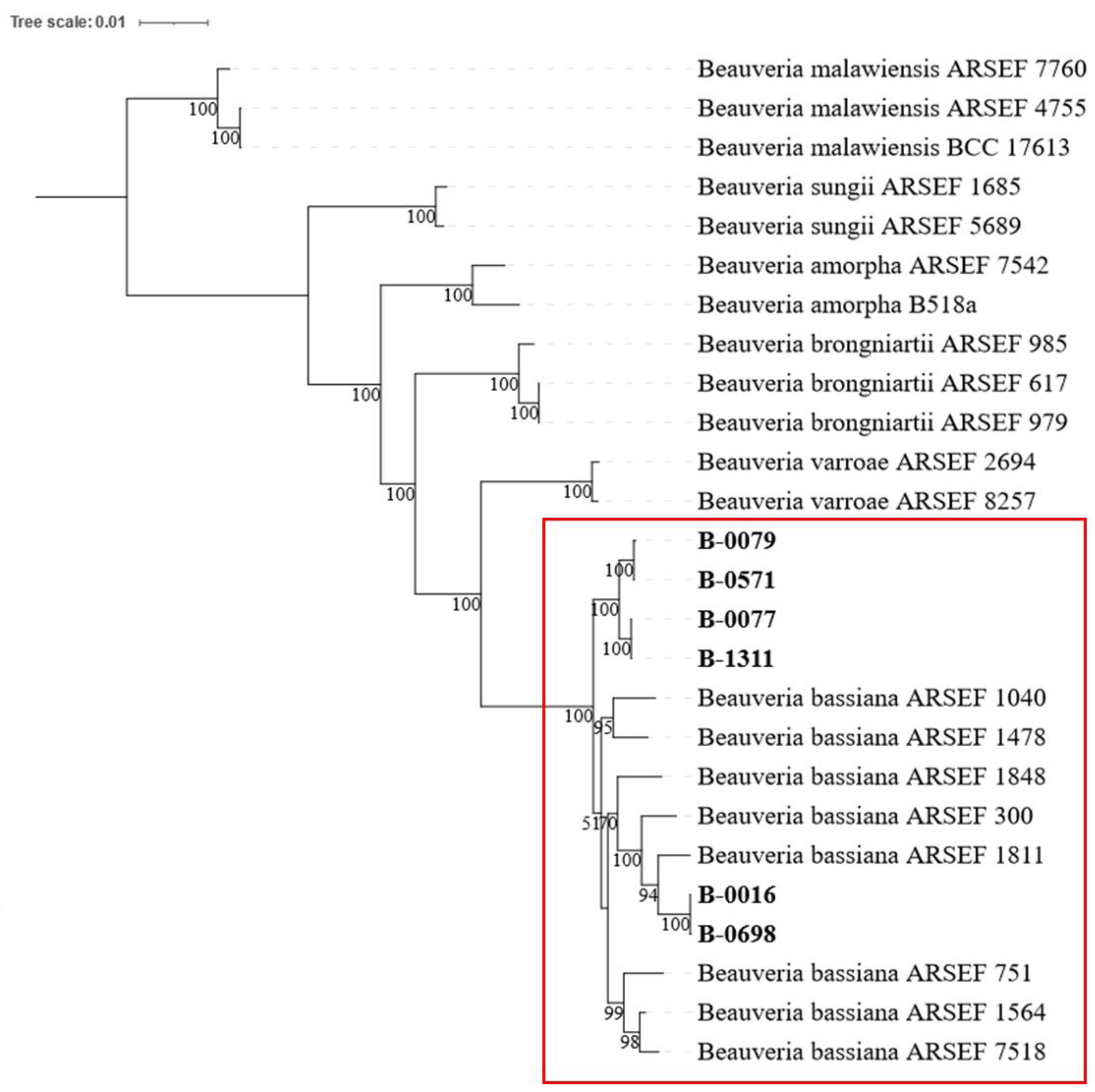 Agriculture 15 00170 g001