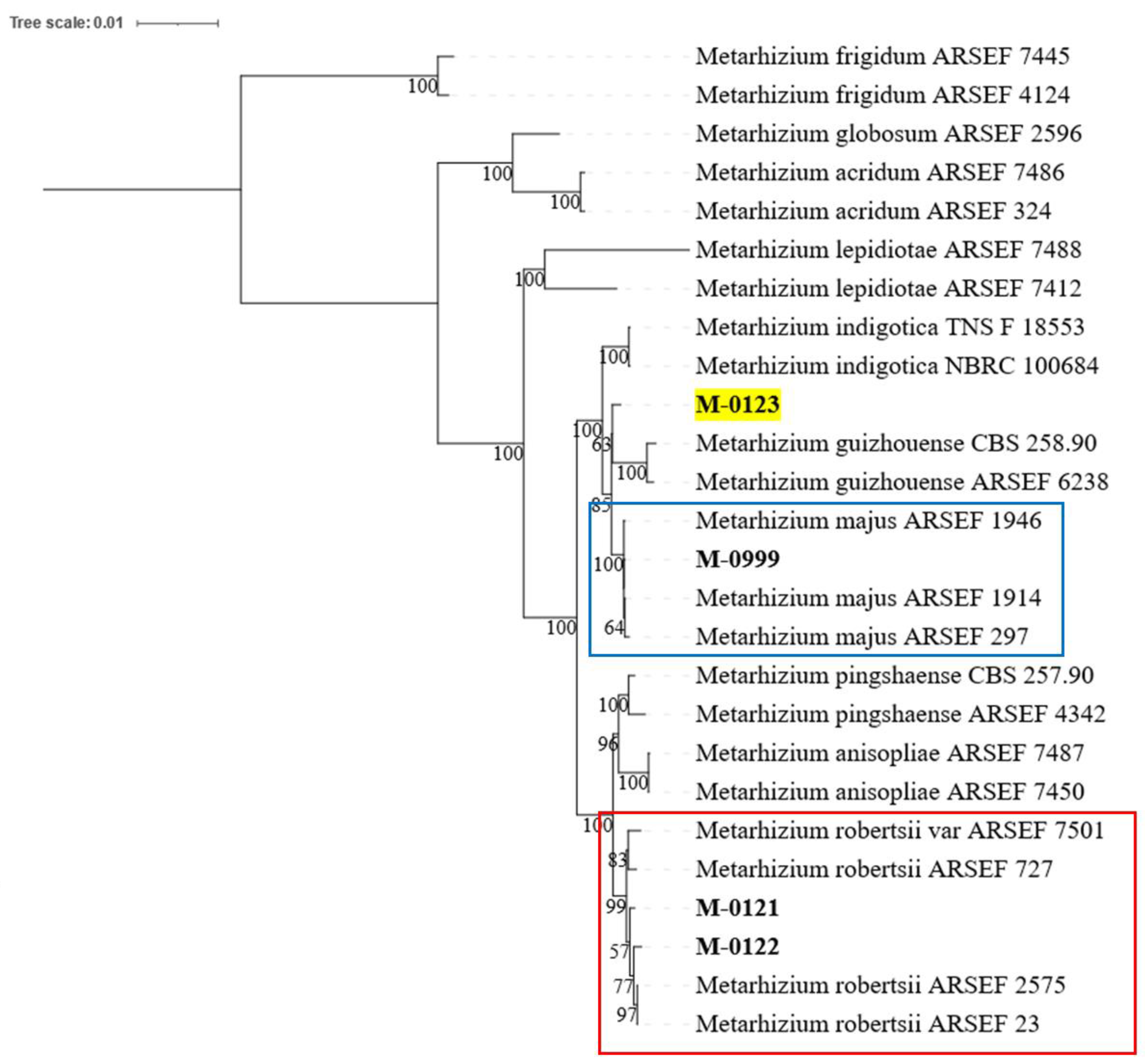 Agriculture 15 00170 g002