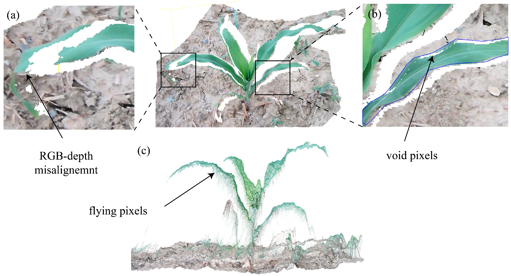 Agriculture 15 00173 g002