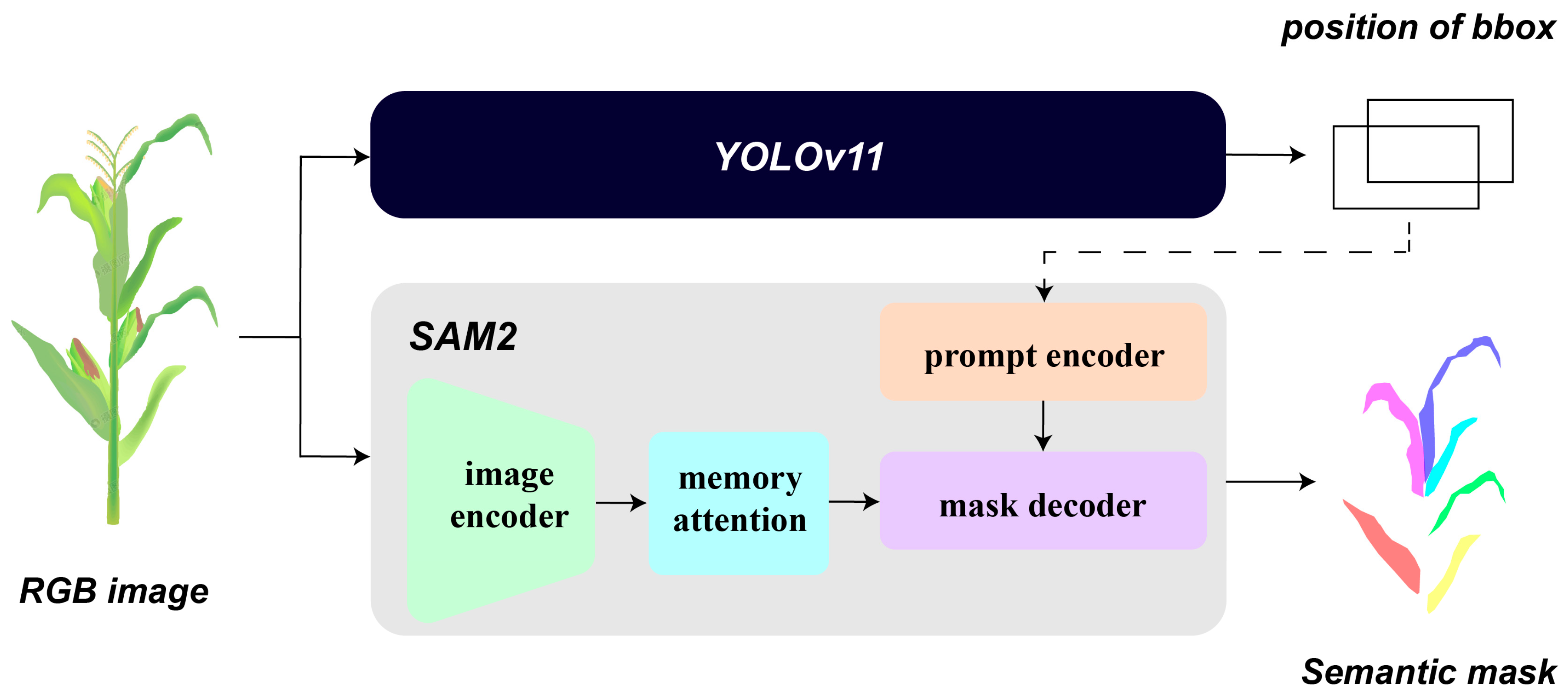 Agriculture 15 00173 g004