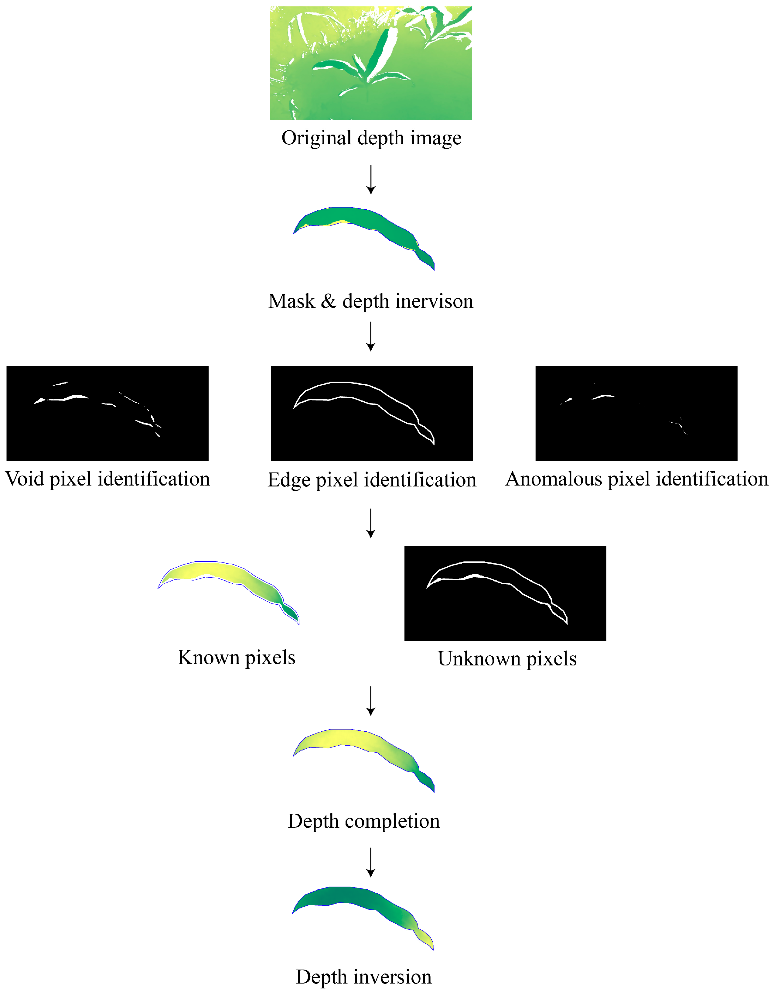 Agriculture 15 00173 g006