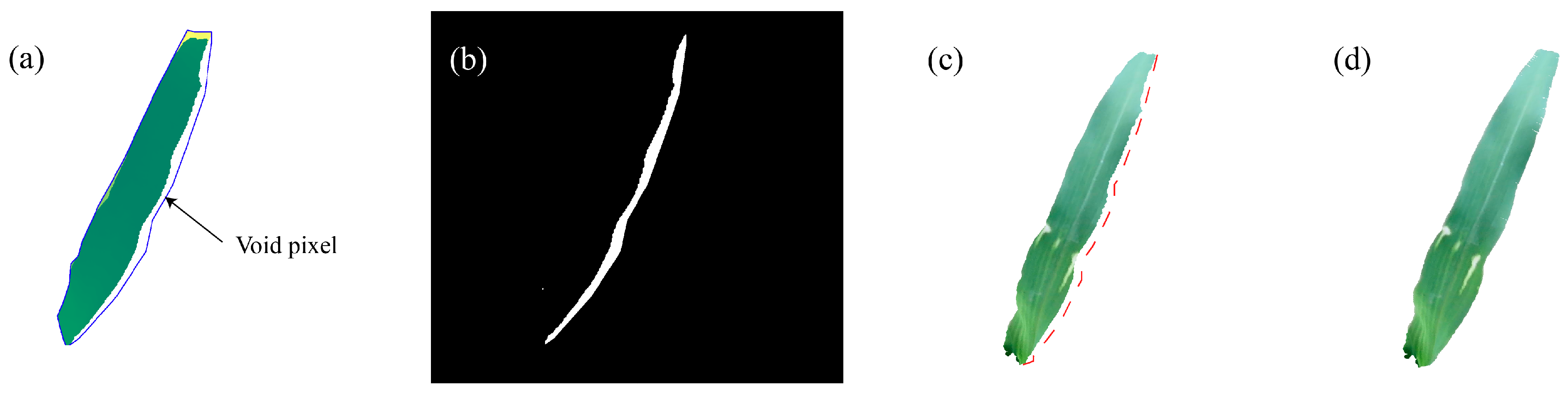 Agriculture 15 00173 g010