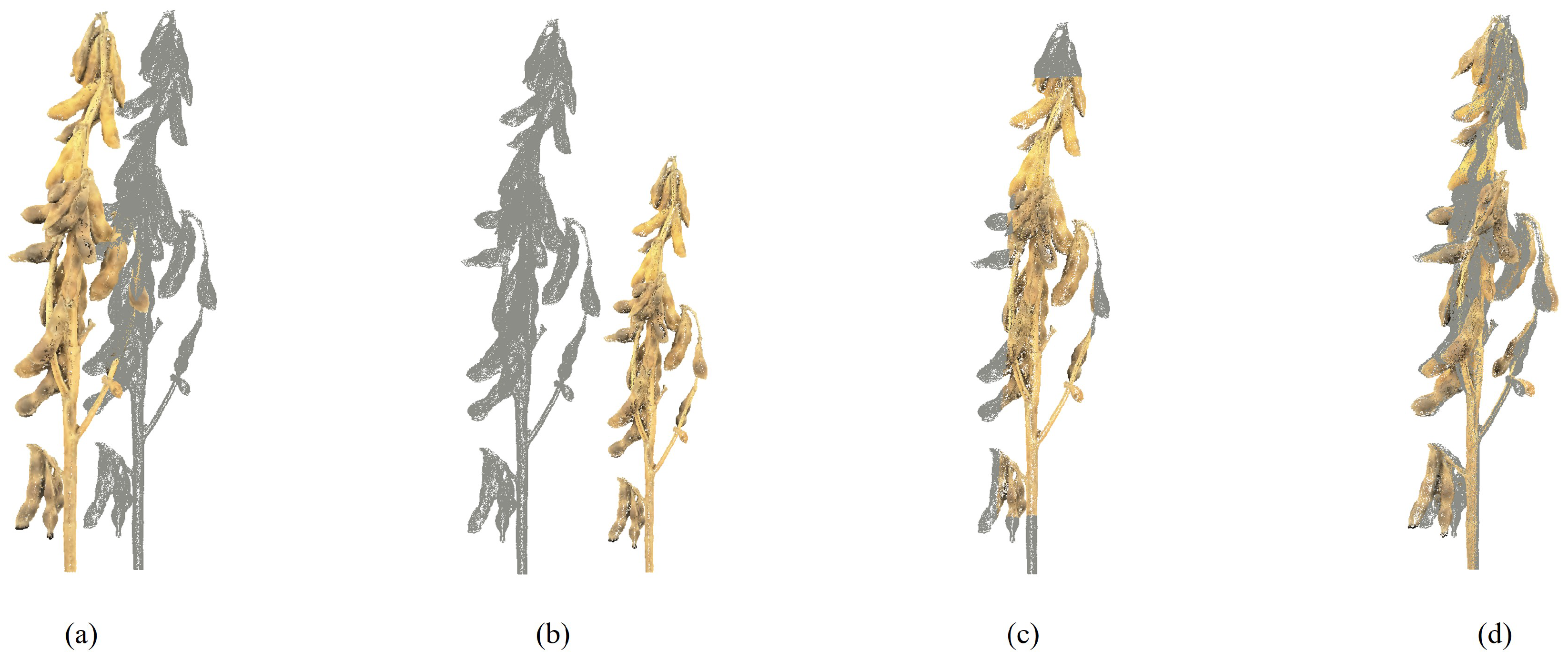 Agriculture 15 00175 g004