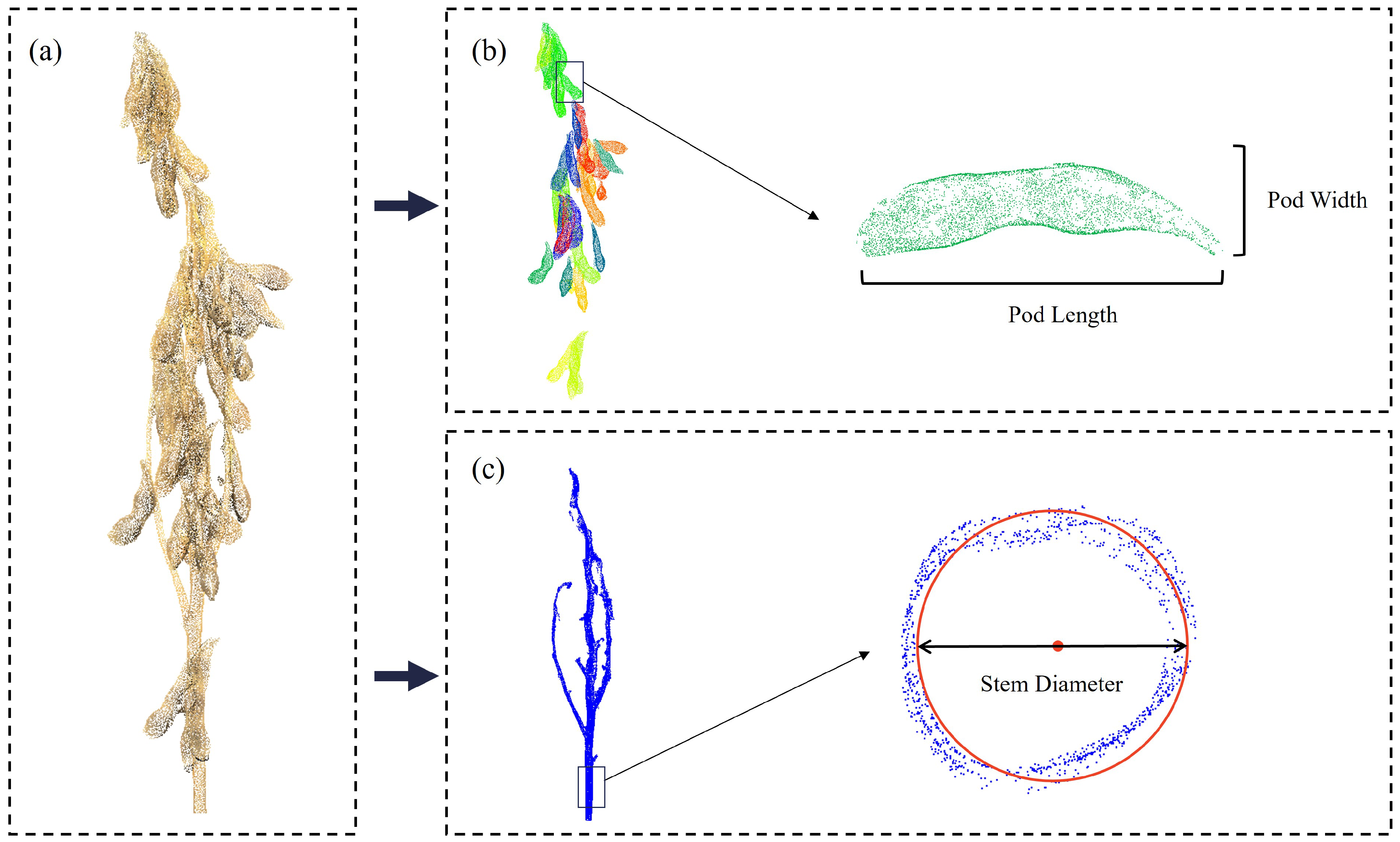 Agriculture 15 00175 g007