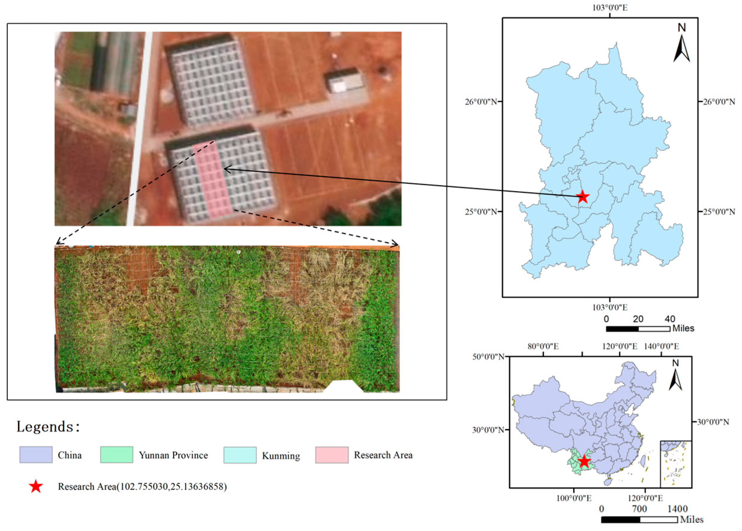 Agriculture 15 00181 g001