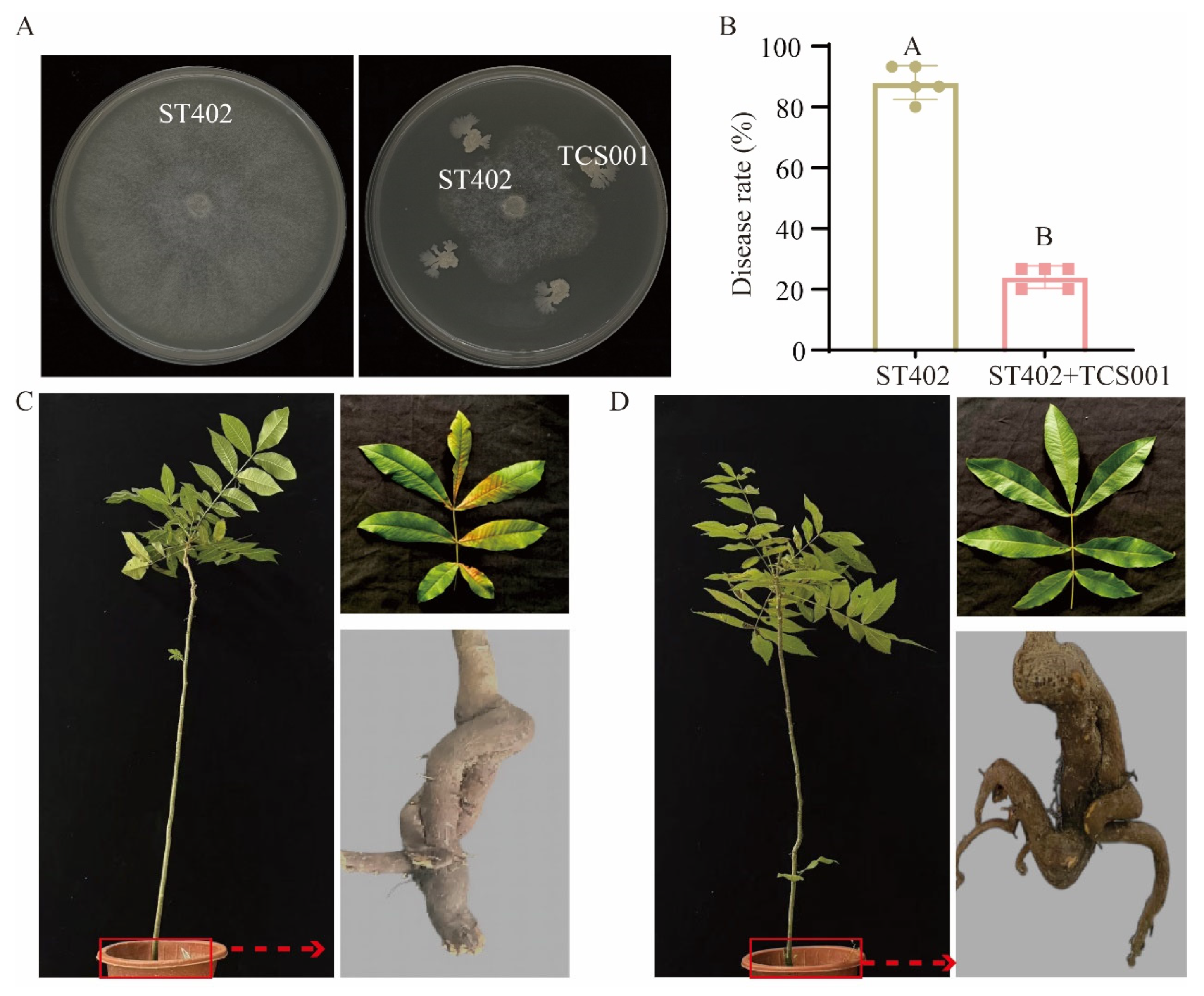 Agriculture 15 00193 g002