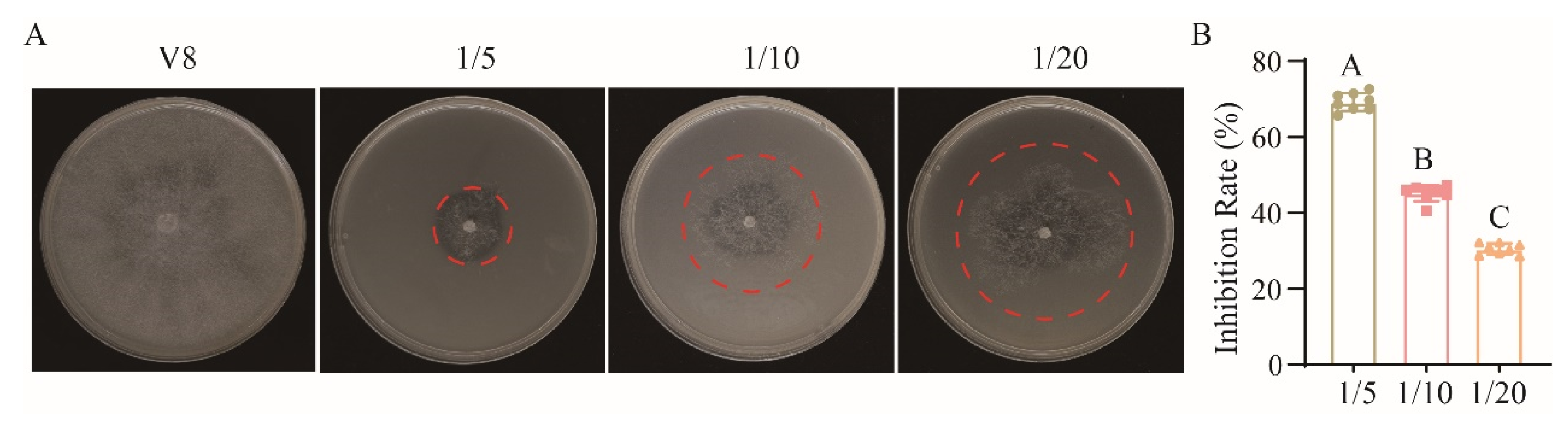 Agriculture 15 00193 g003