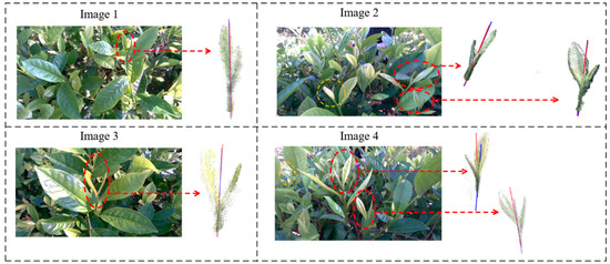 Instance Segmentation and 3D Pose Estimation of Tea Bud Leaves for ...