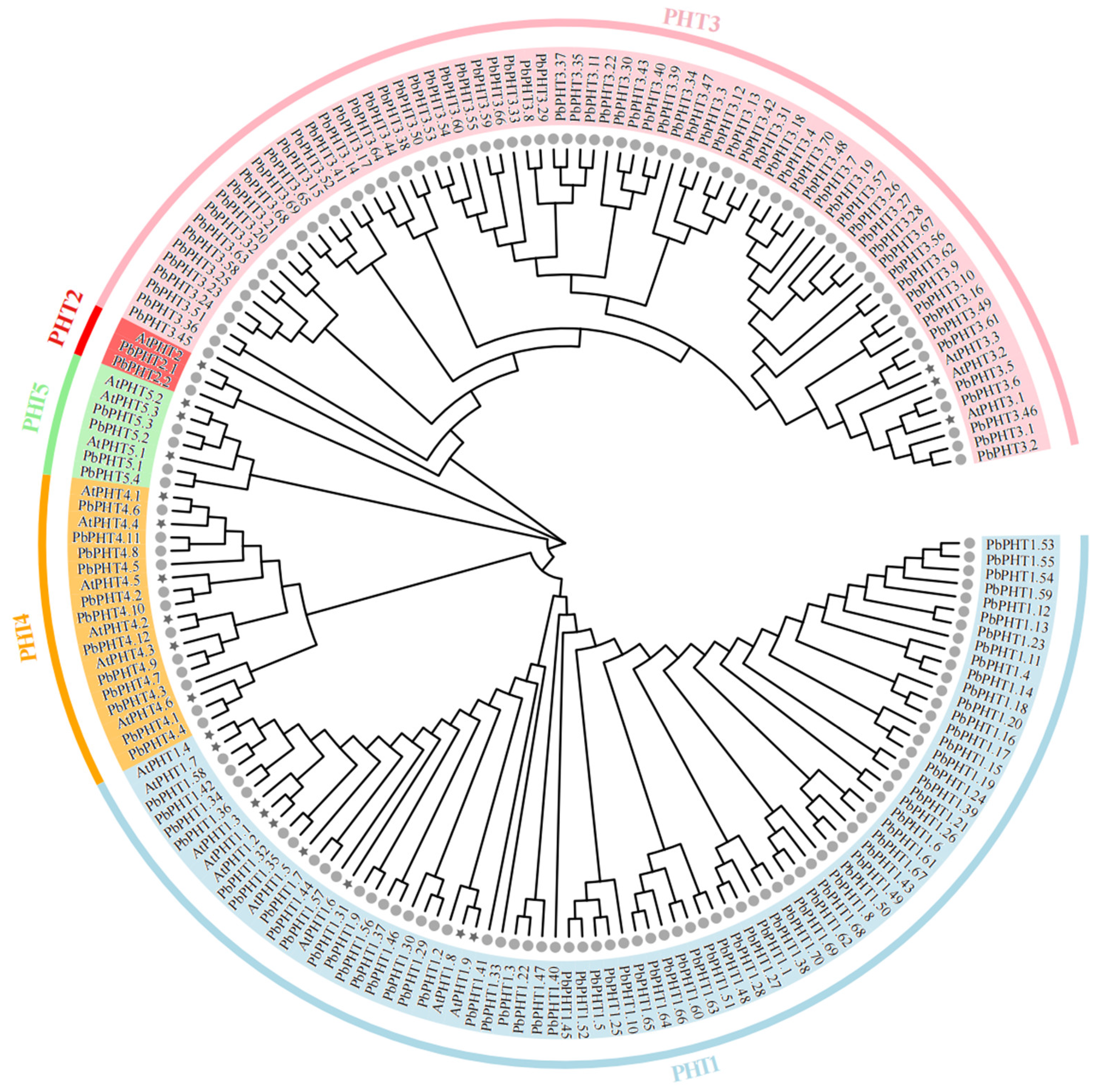 Agriculture 15 00199 g001