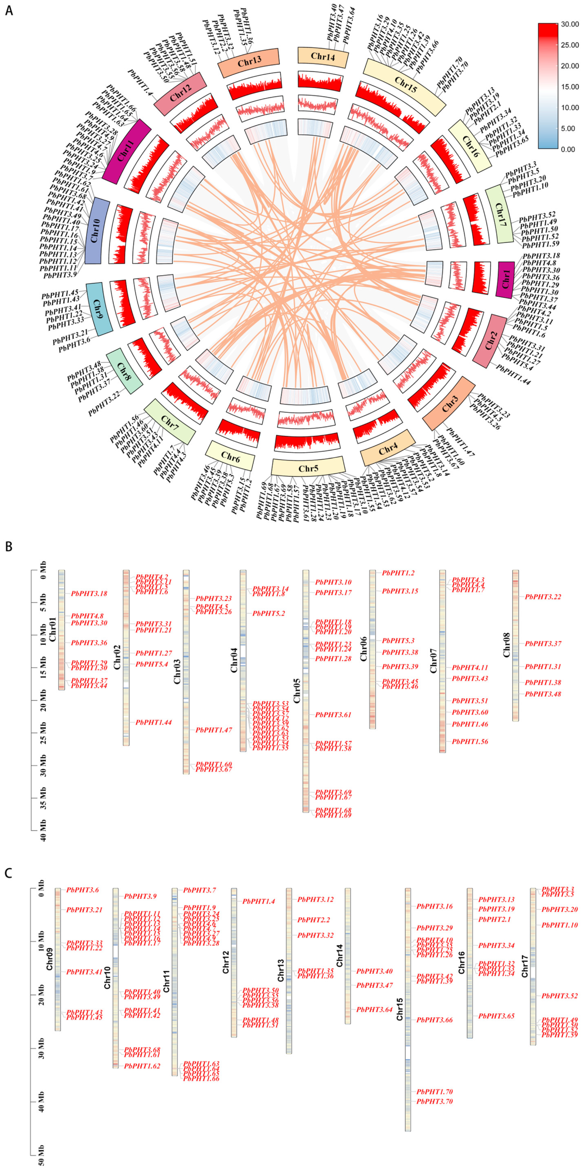 Agriculture 15 00199 g002