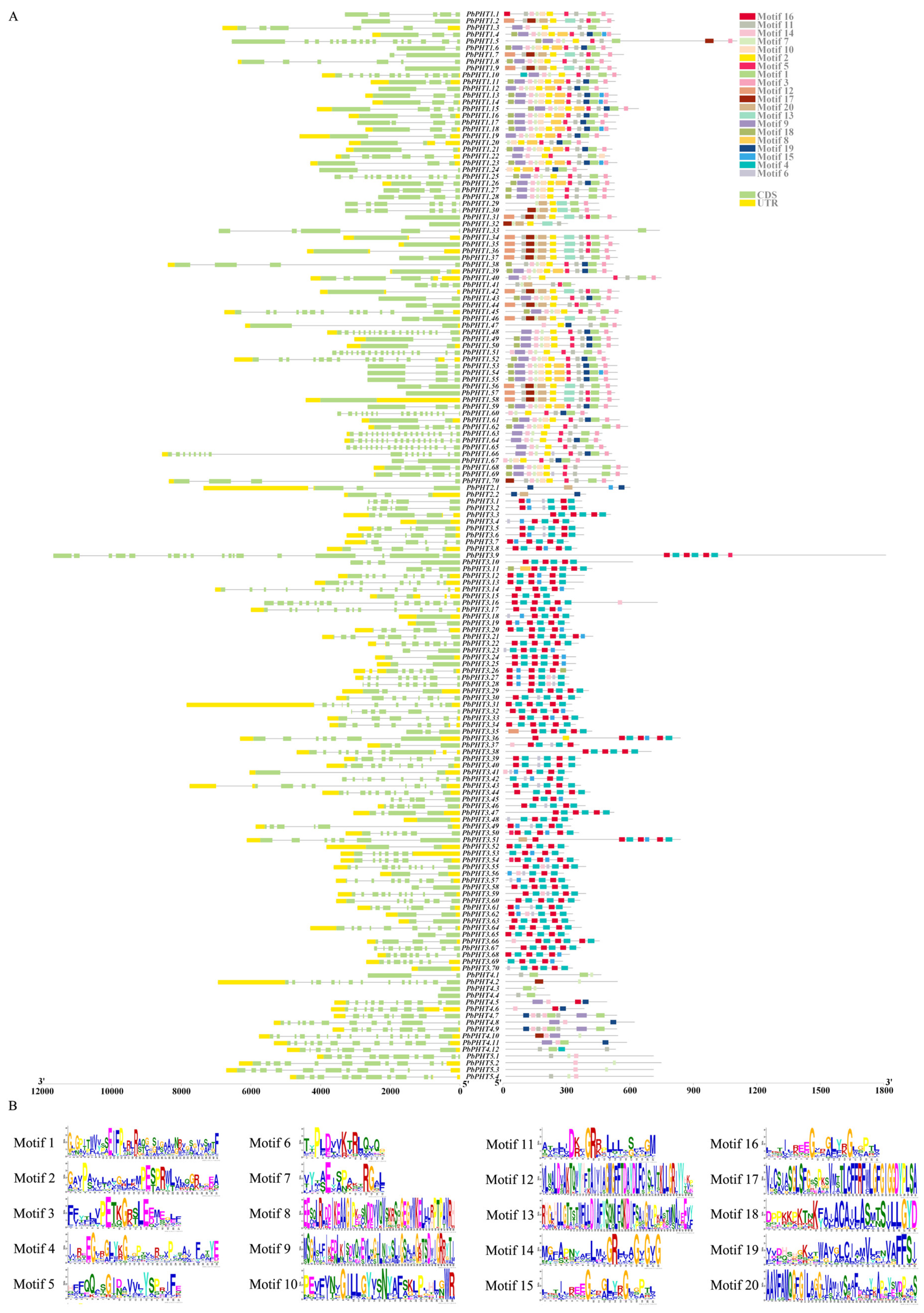Agriculture 15 00199 g003