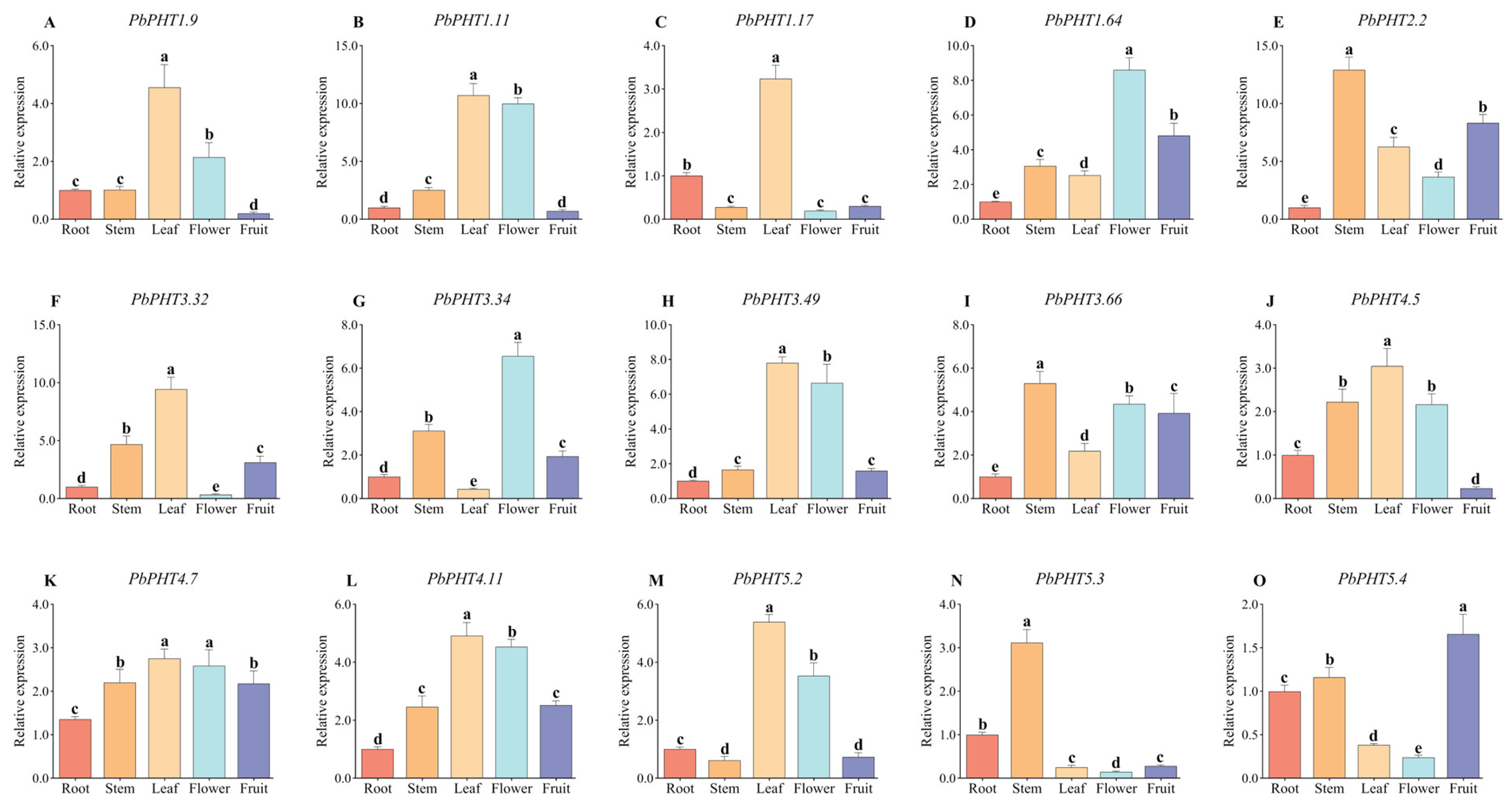 Agriculture 15 00199 g005