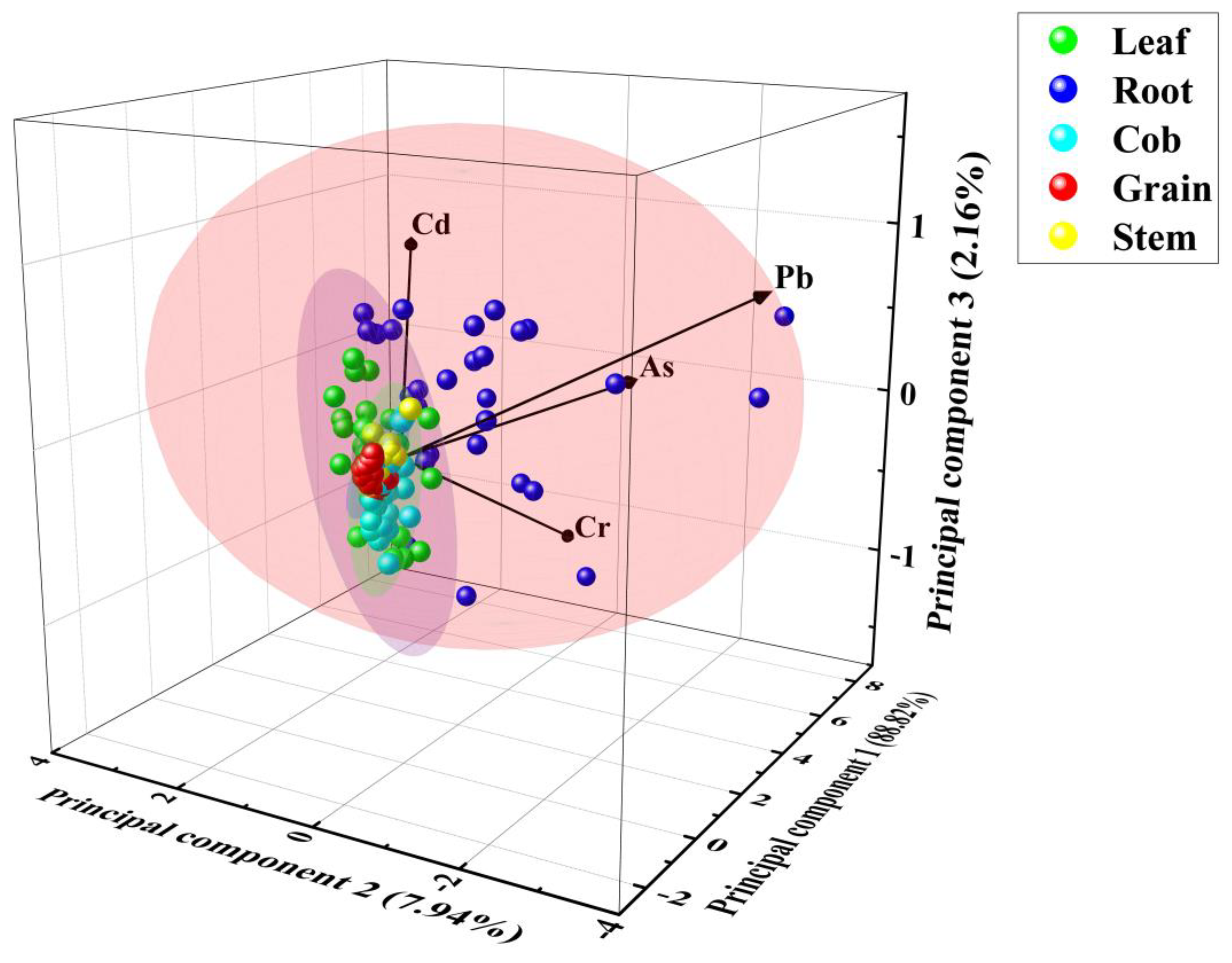 Agriculture 15 00203 g009