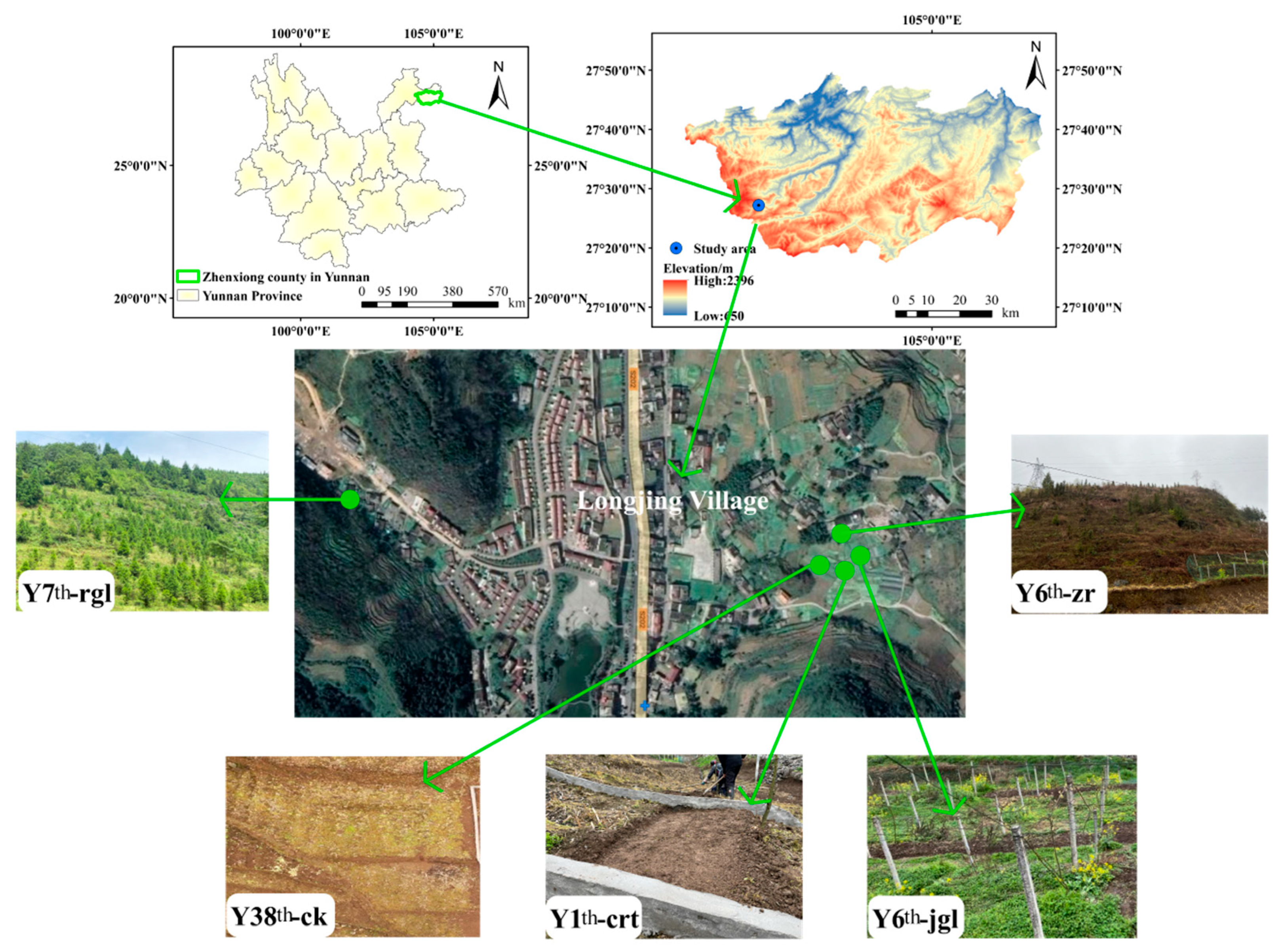 Agriculture 15 00207 g001