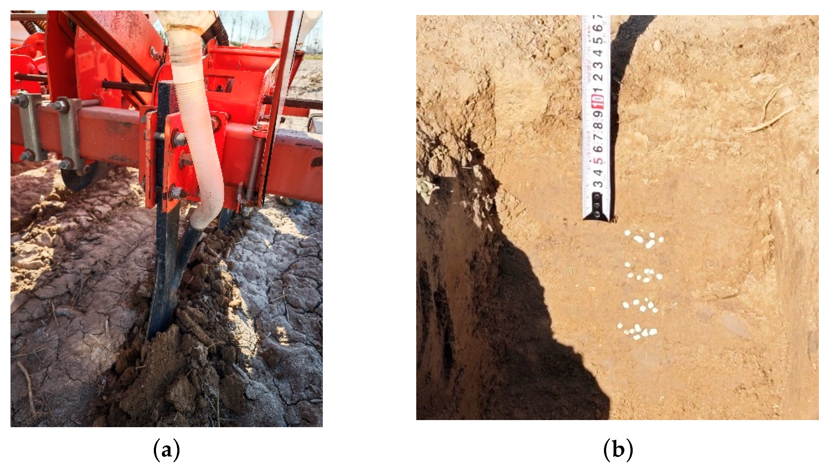 Agriculture 15 00209 g014