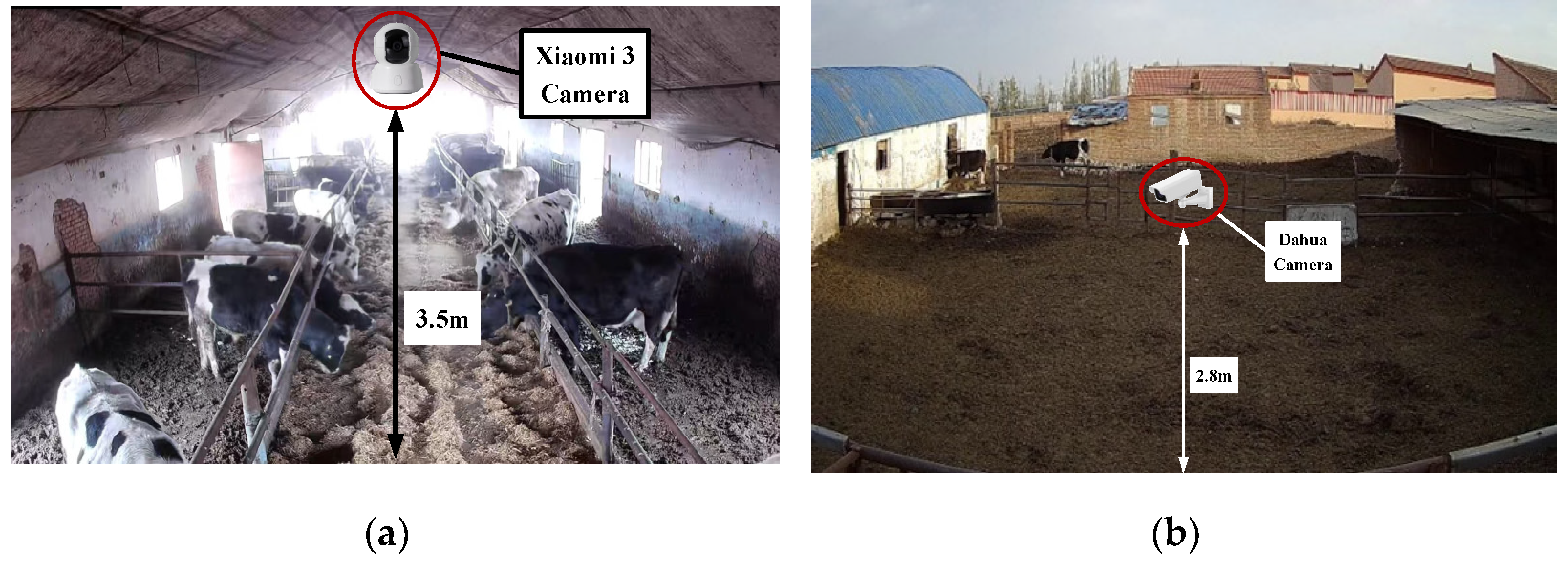 Agriculture 15 00213 g002