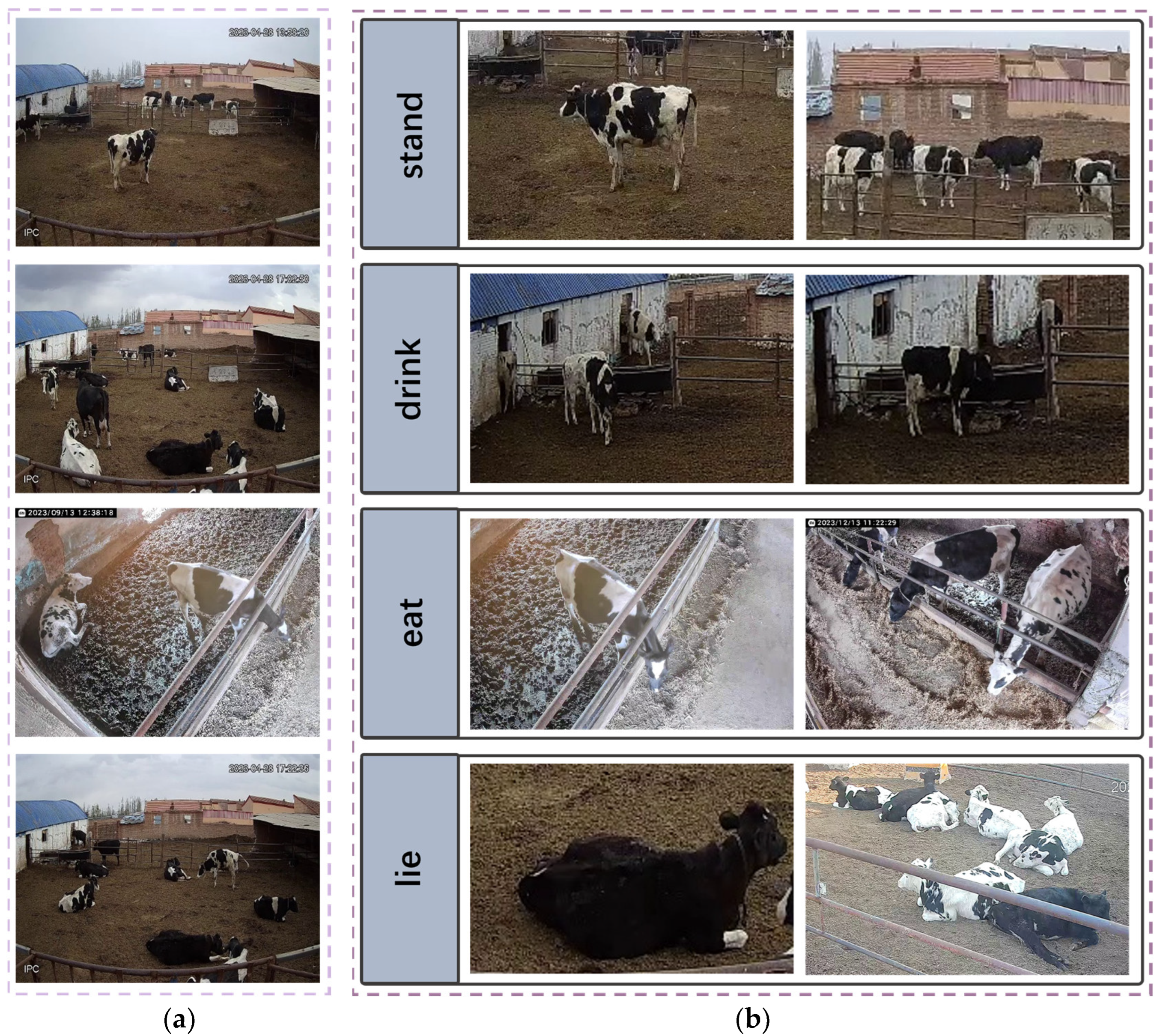 Agriculture 15 00213 g003