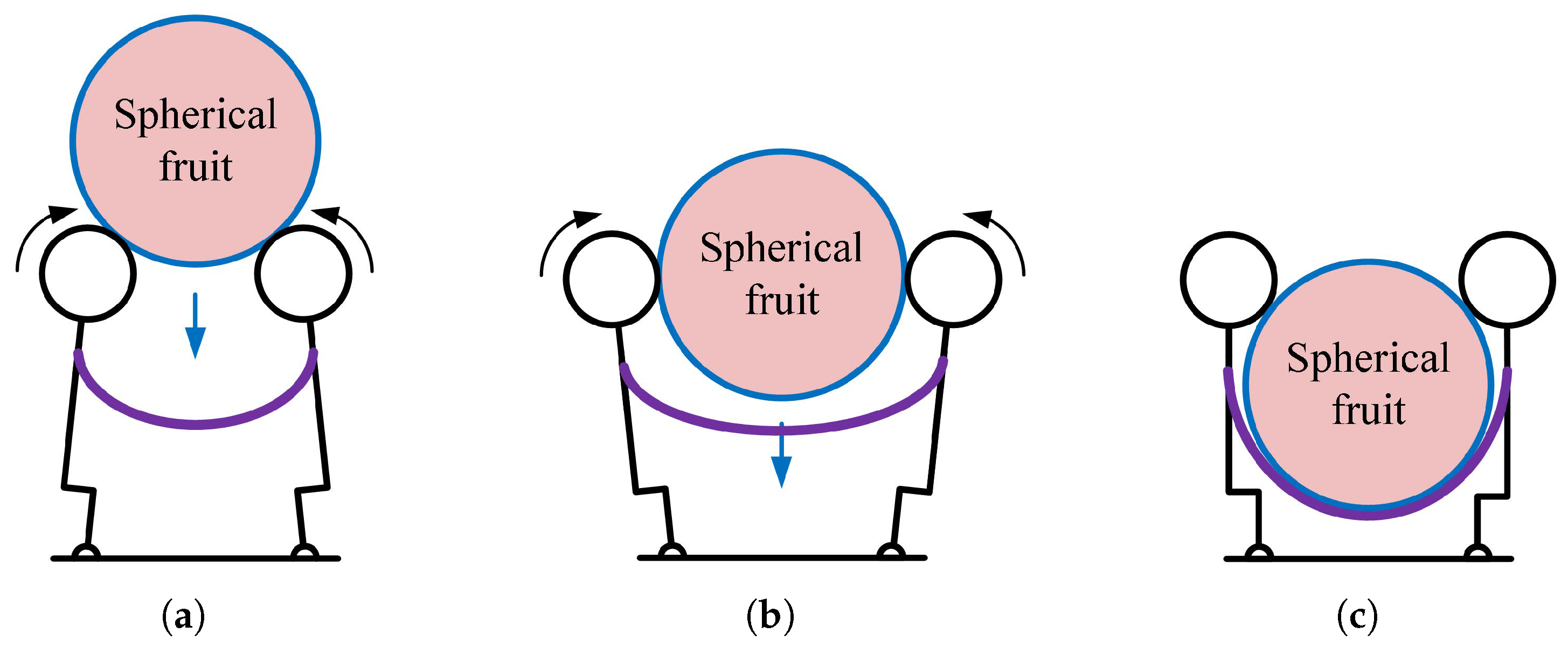 Agriculture 15 00220 g008