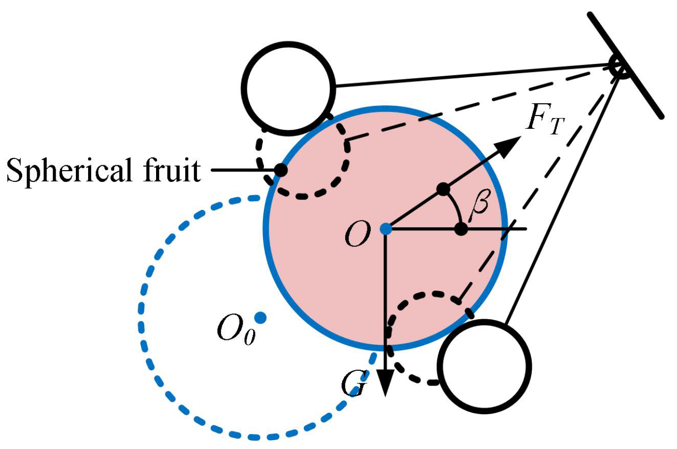 Agriculture 15 00220 g010