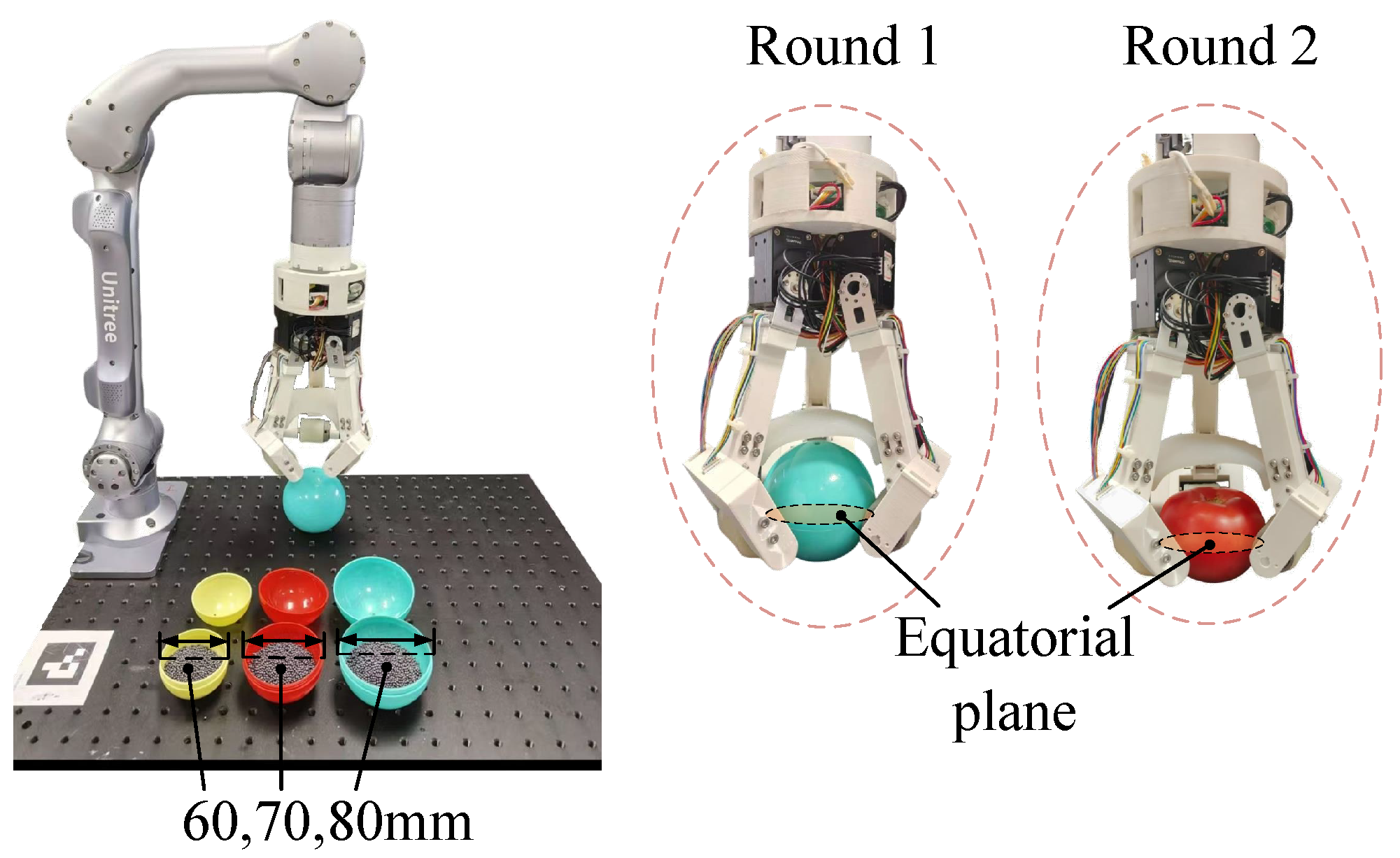 Agriculture 15 00220 g011