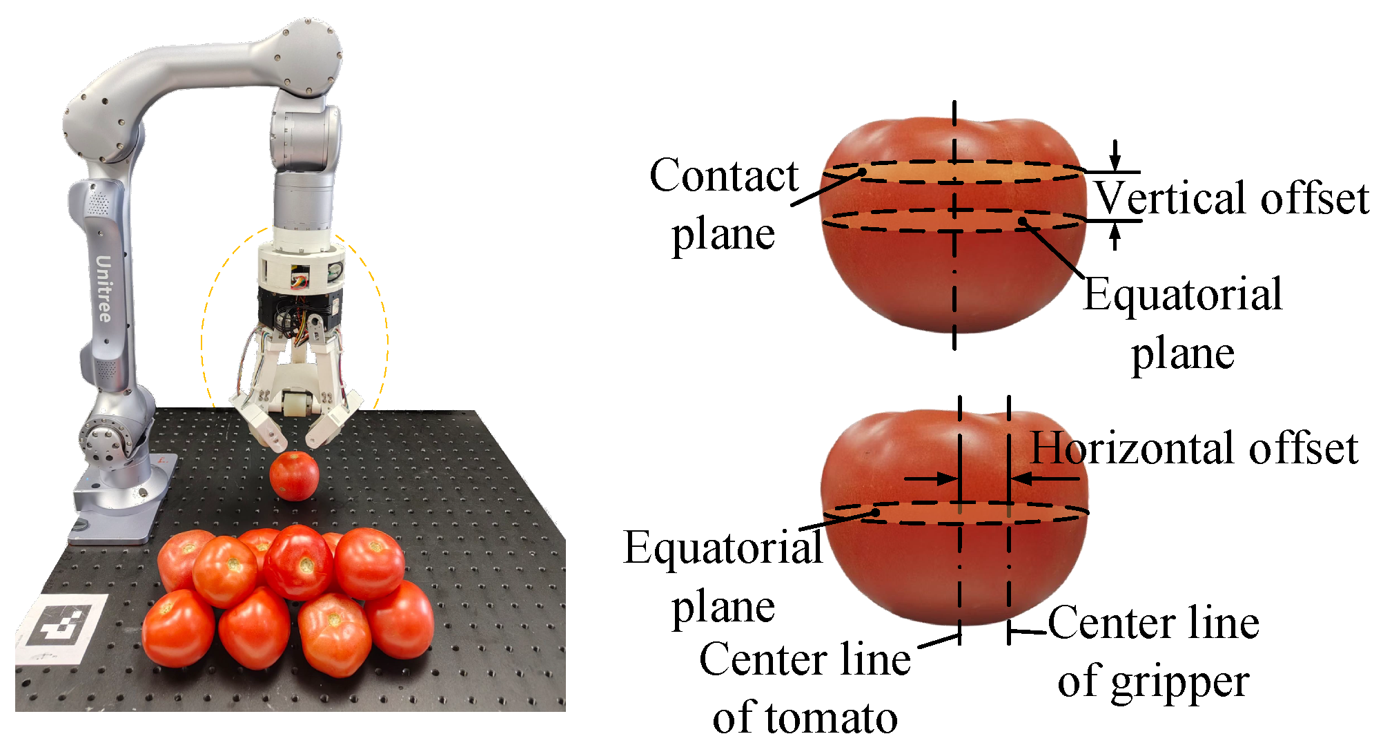 Agriculture 15 00220 g015