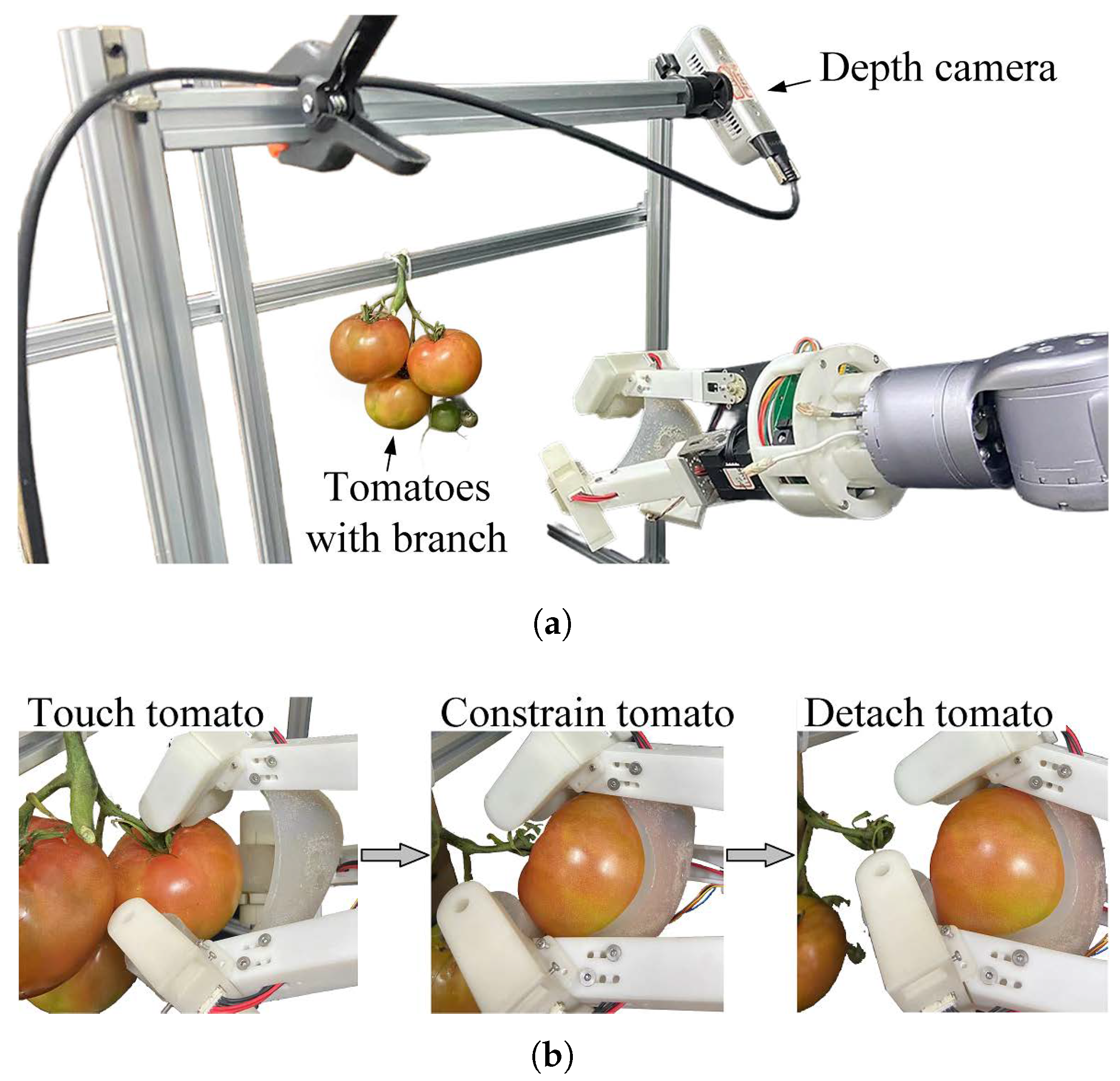 Agriculture 15 00220 g018