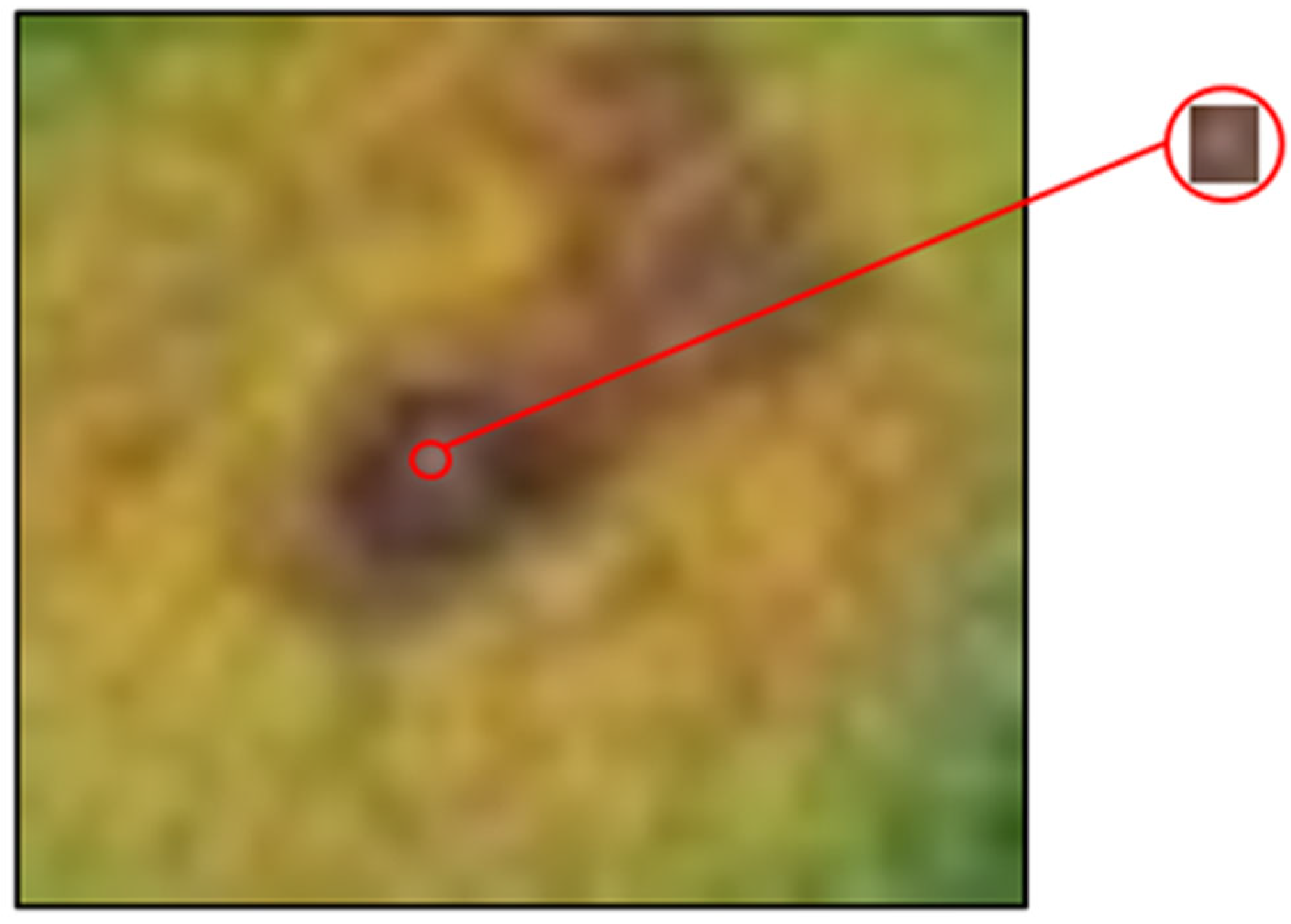 Agriculture 15 00223 g002