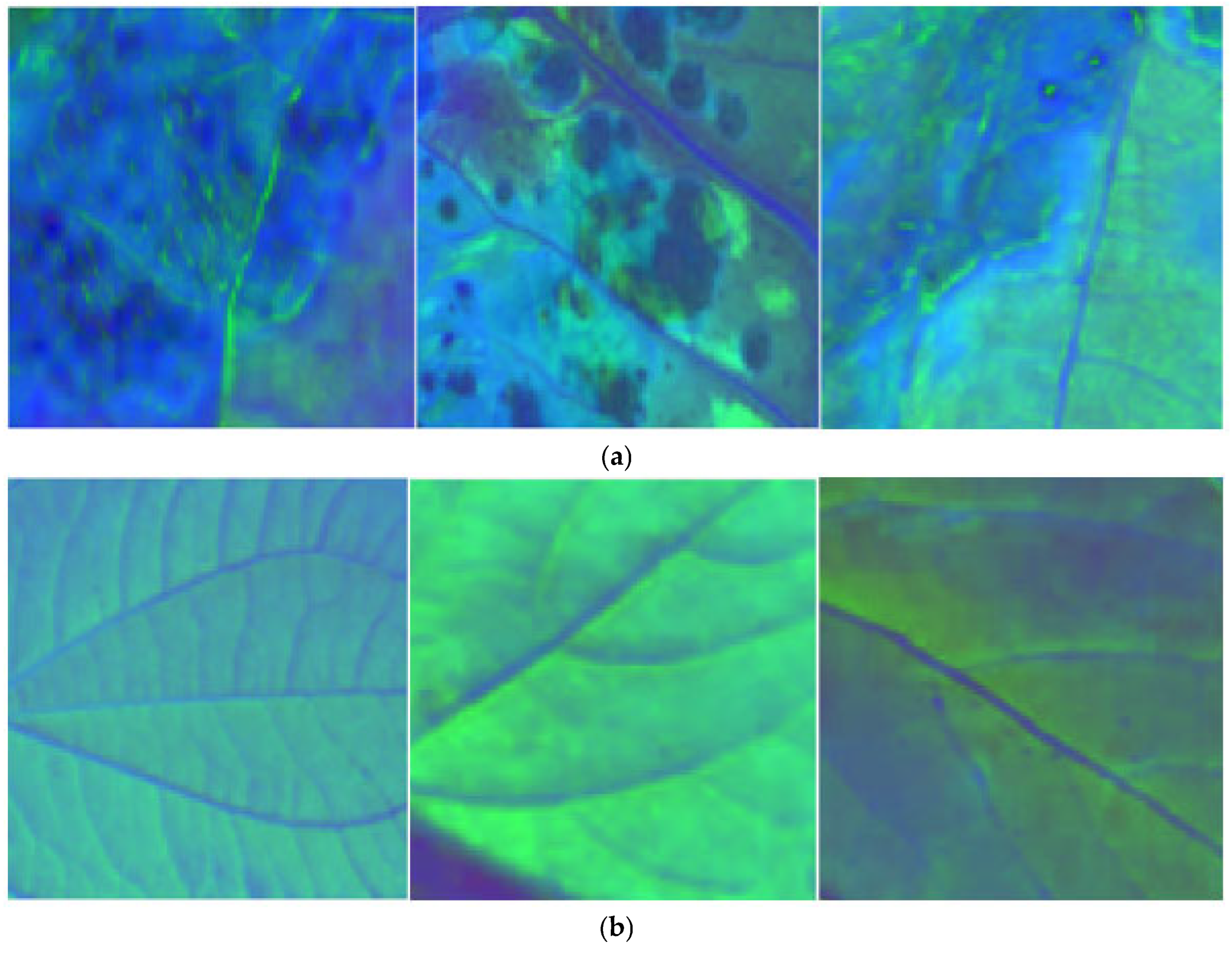 Agriculture 15 00223 g003