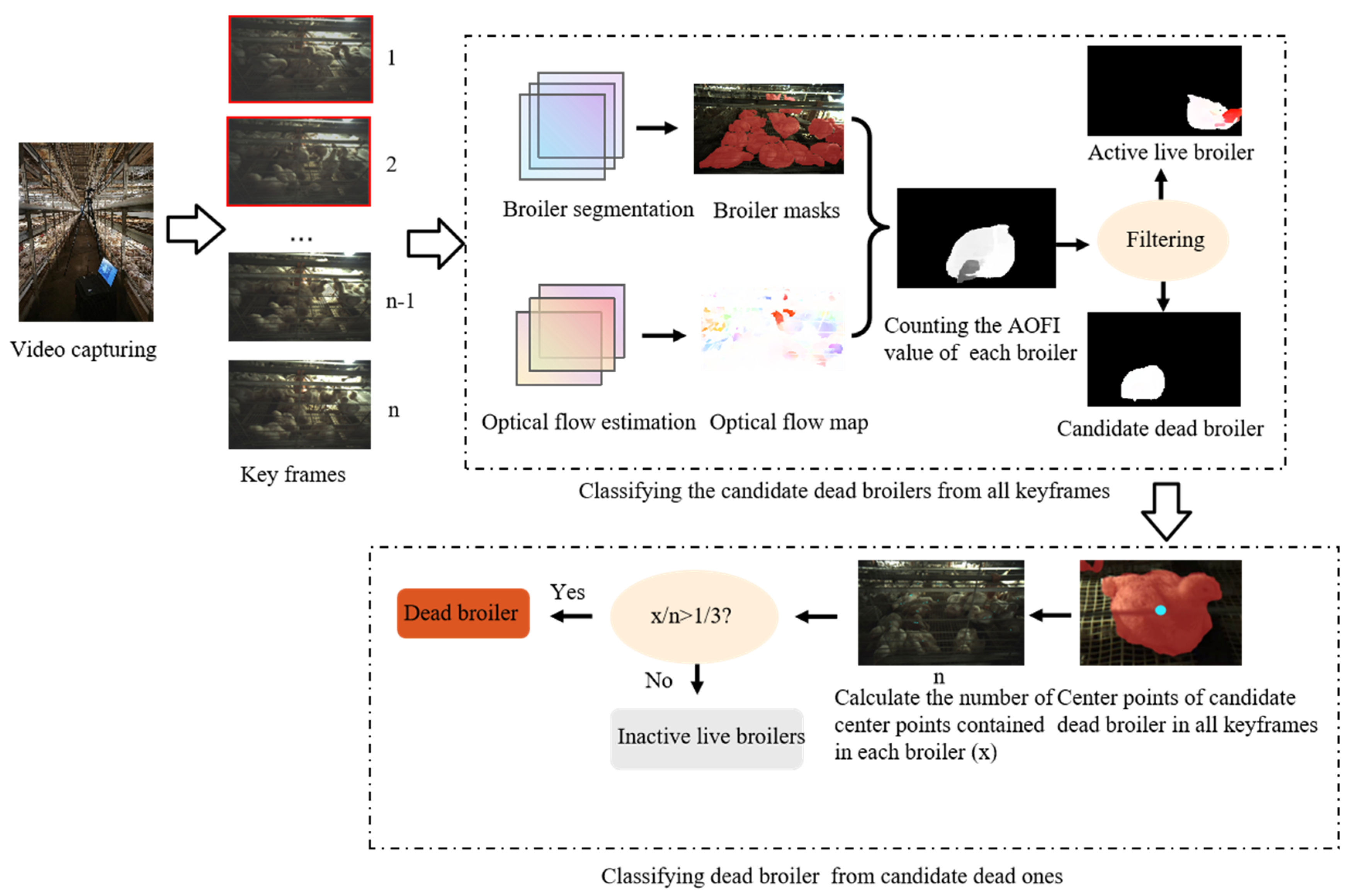 Agriculture 15 00225 g001