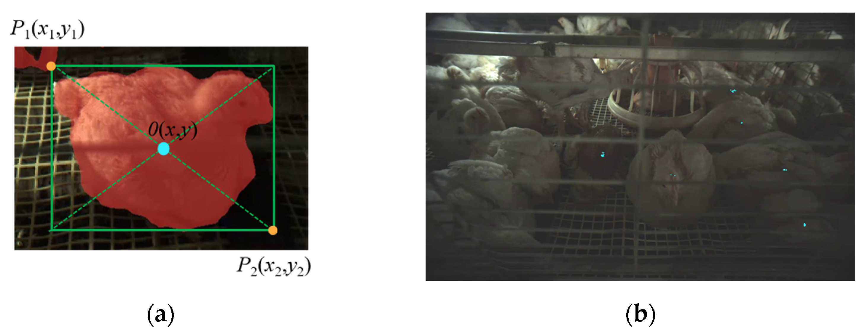 Agriculture 15 00225 g006