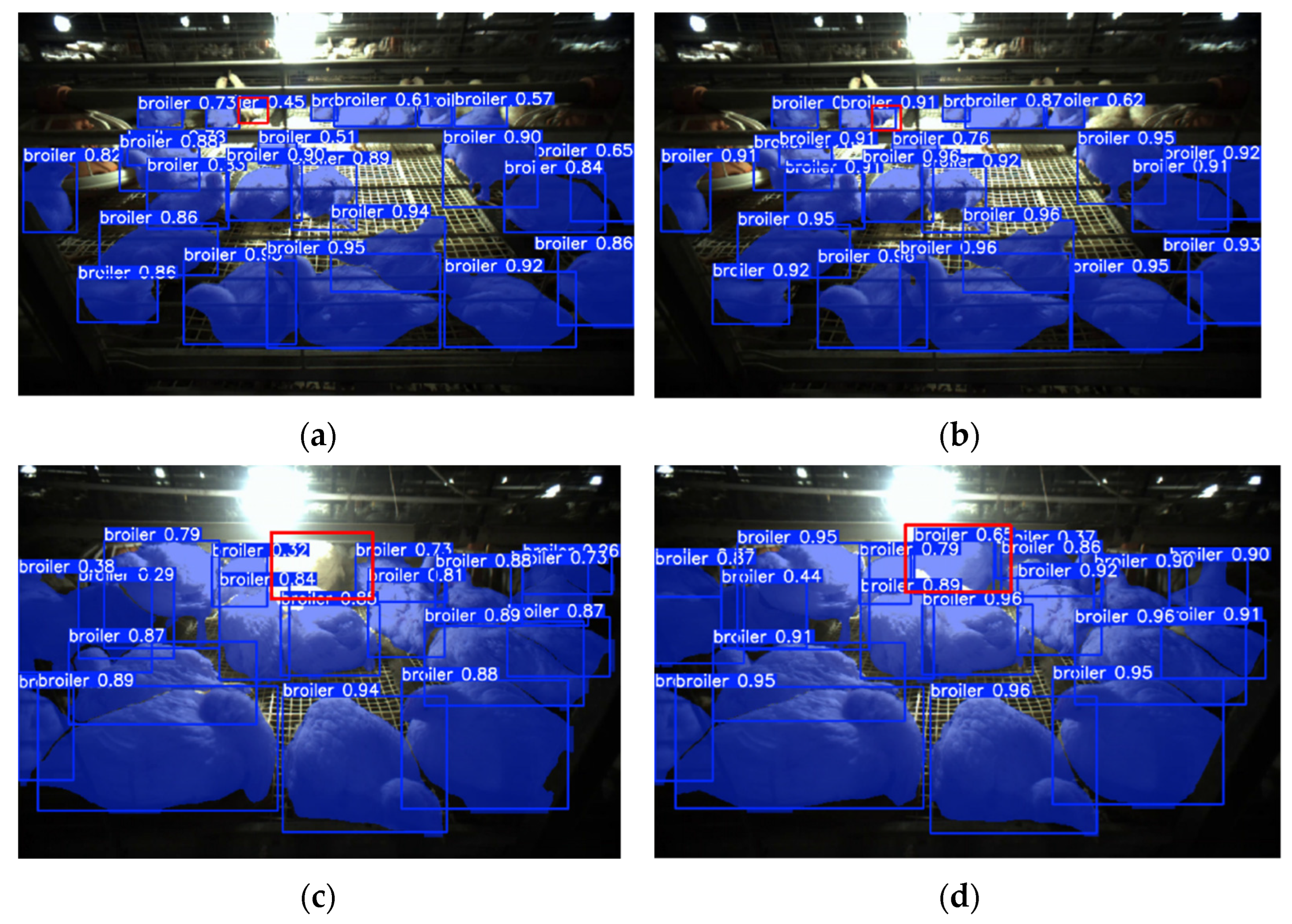 Agriculture 15 00225 g008