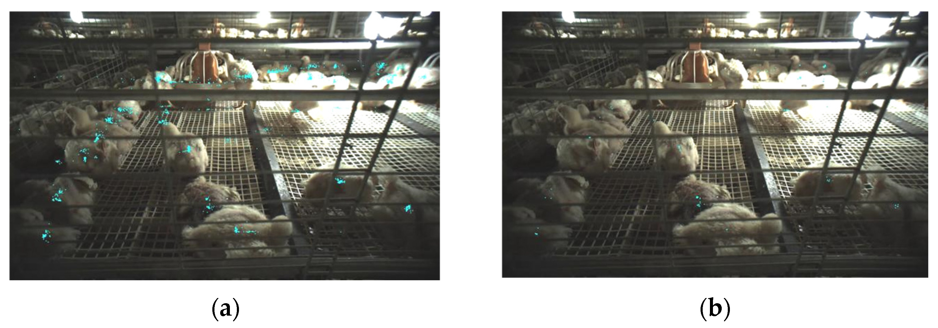 Agriculture 15 00225 g011