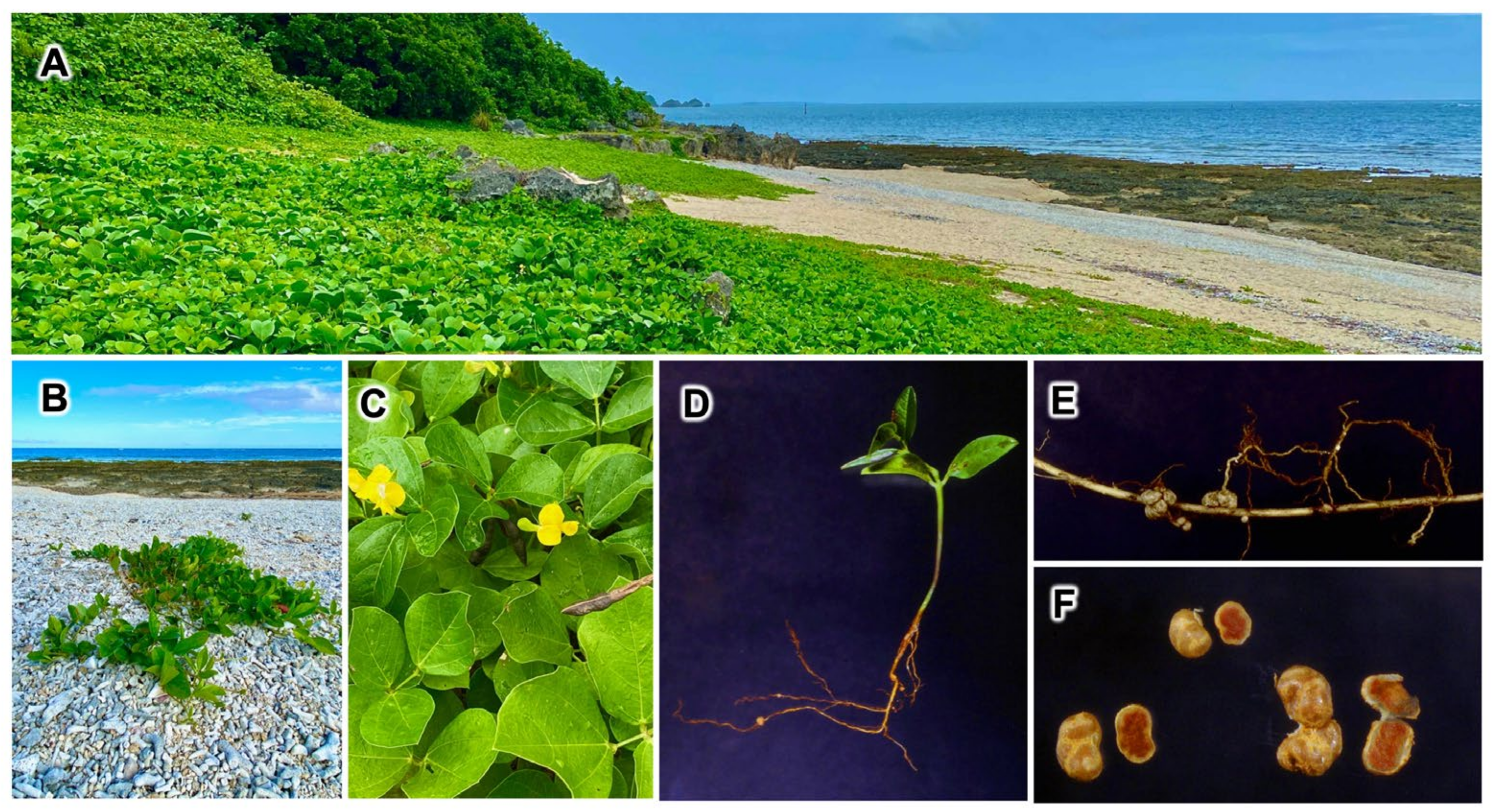 Agriculture 15 00228 g001