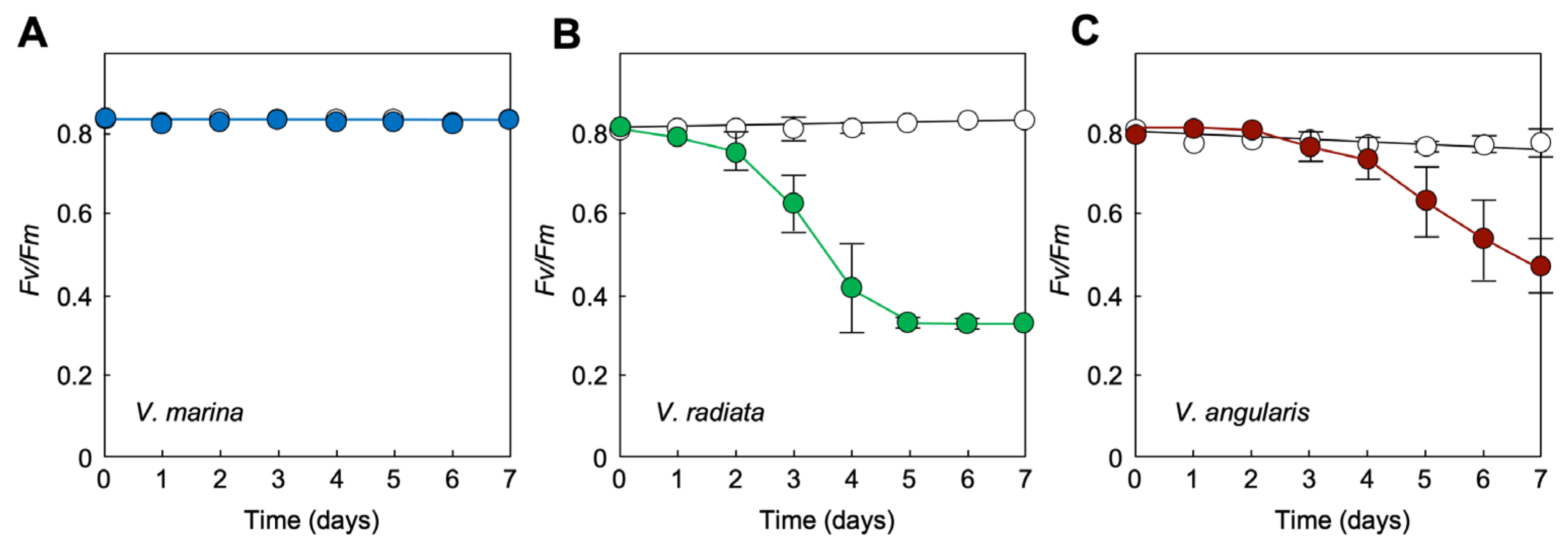 Agriculture 15 00228 g006