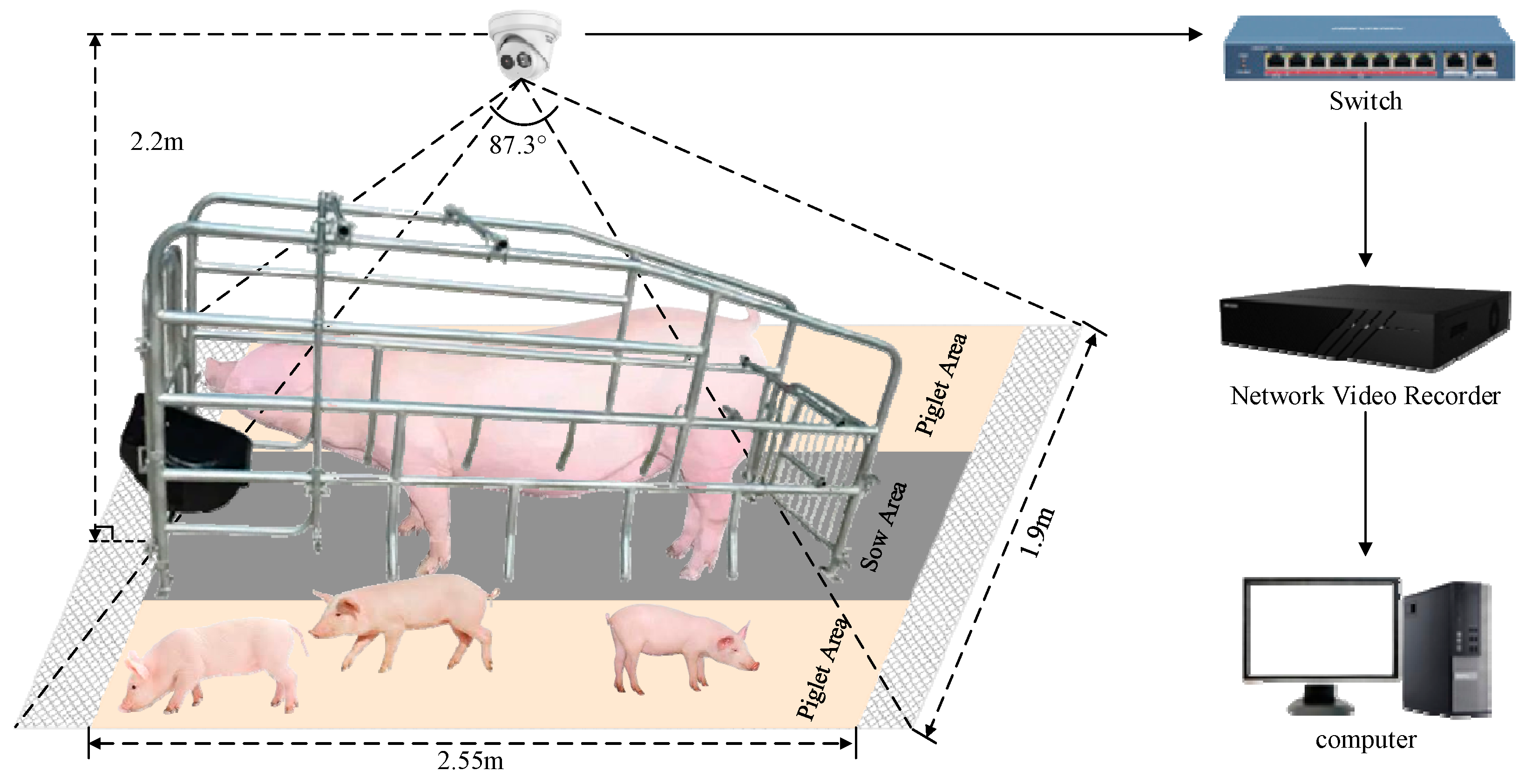 pimpandhost image share.com 31' Resting Posture Recognition Method for Suckling Piglets Based on Piglet  Posture Recognition (PPR)–You Only Look Once