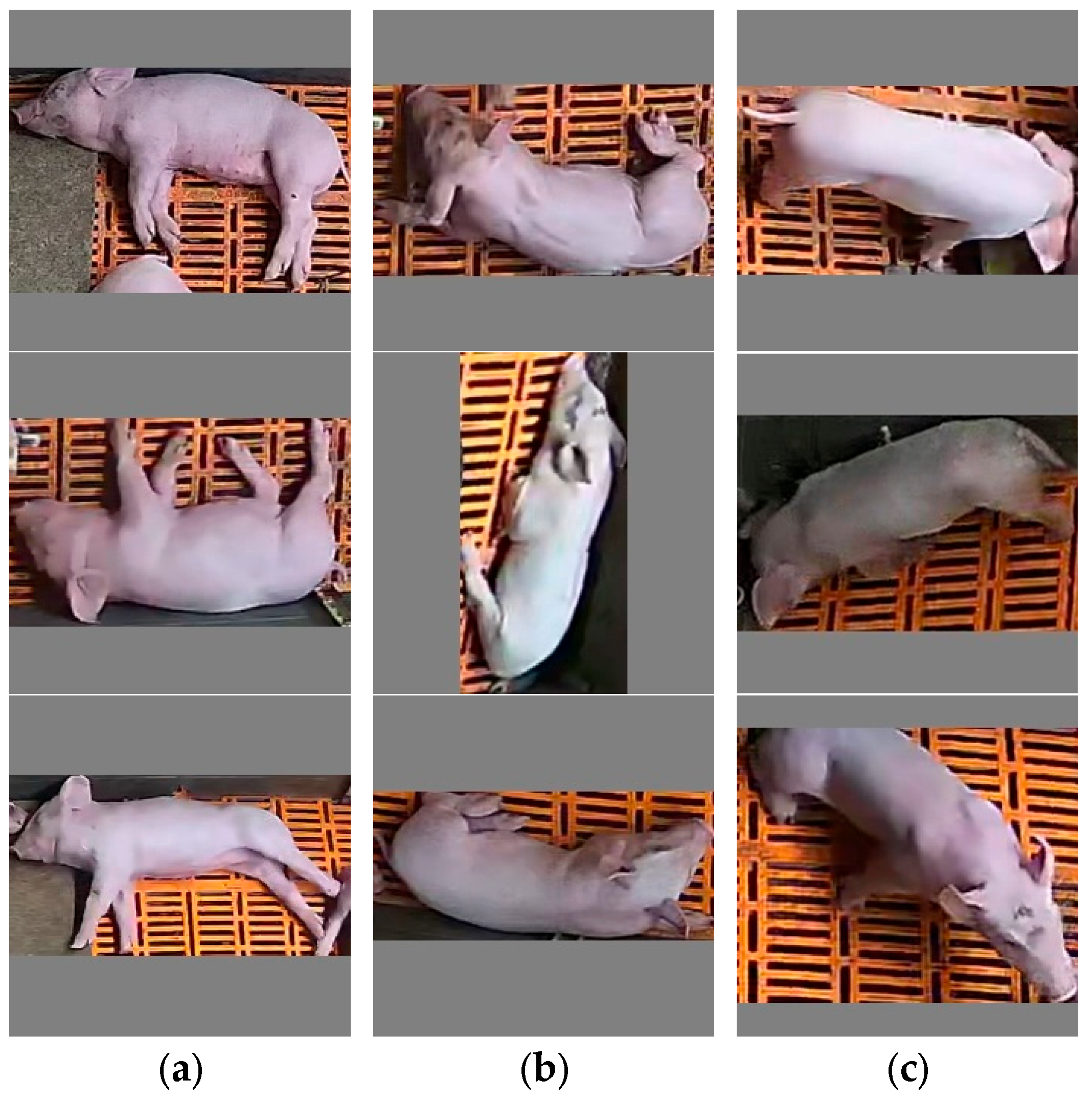 Agriculture 15 00230 g002