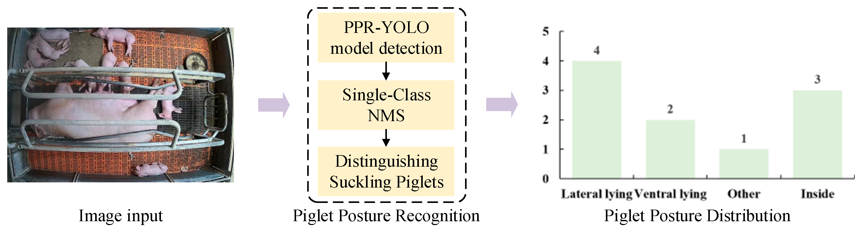 Agriculture 15 00230 g004
